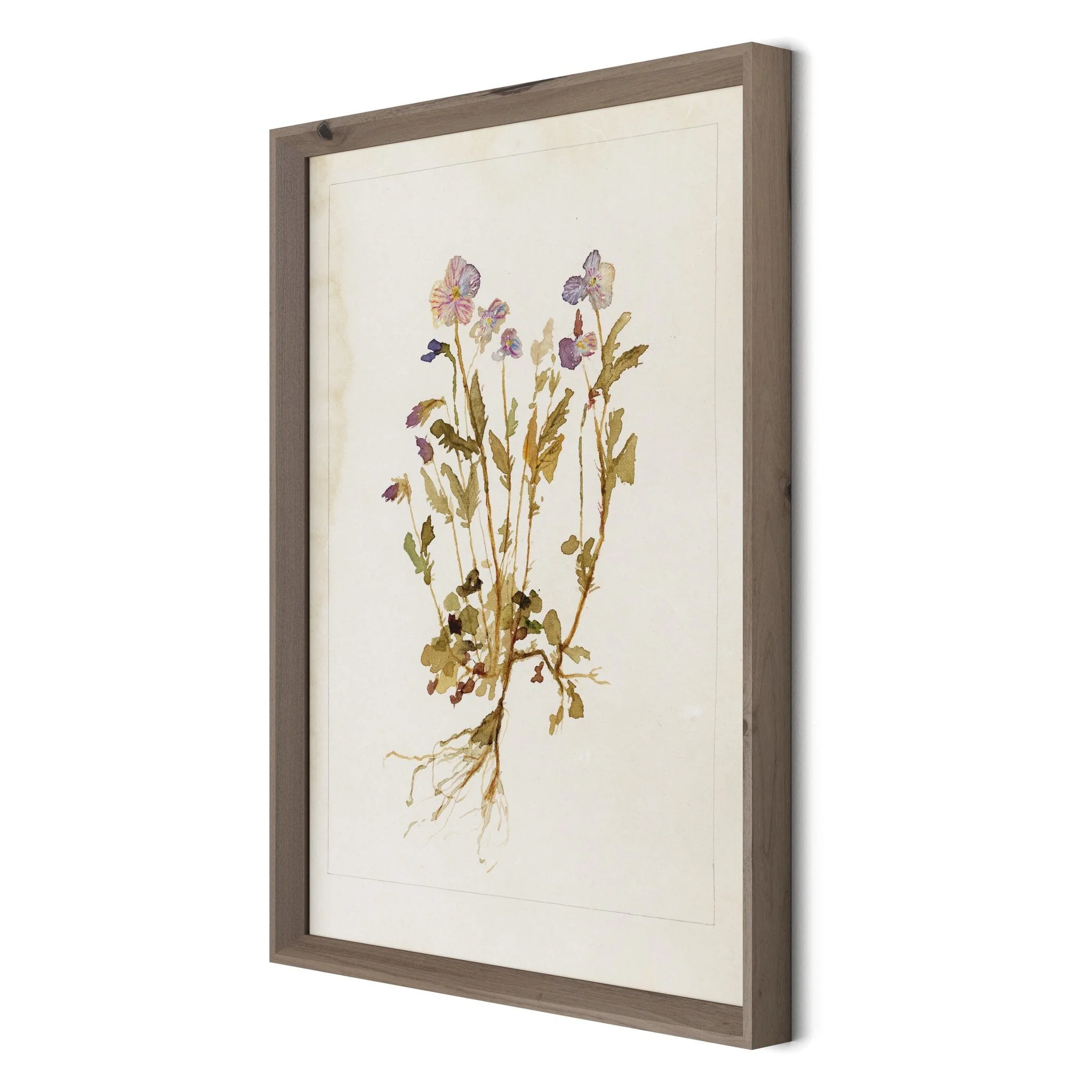 Viola No. 2 by Laurel-Dawn Latshaw - RoofTop 1.5 Rustic Walnut - Image 2