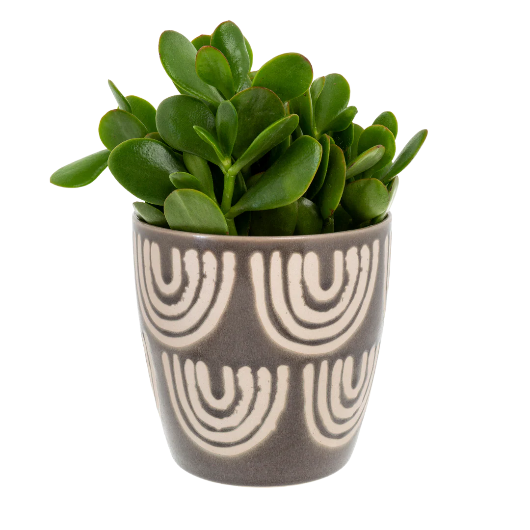 Arches Pot - Image 2
