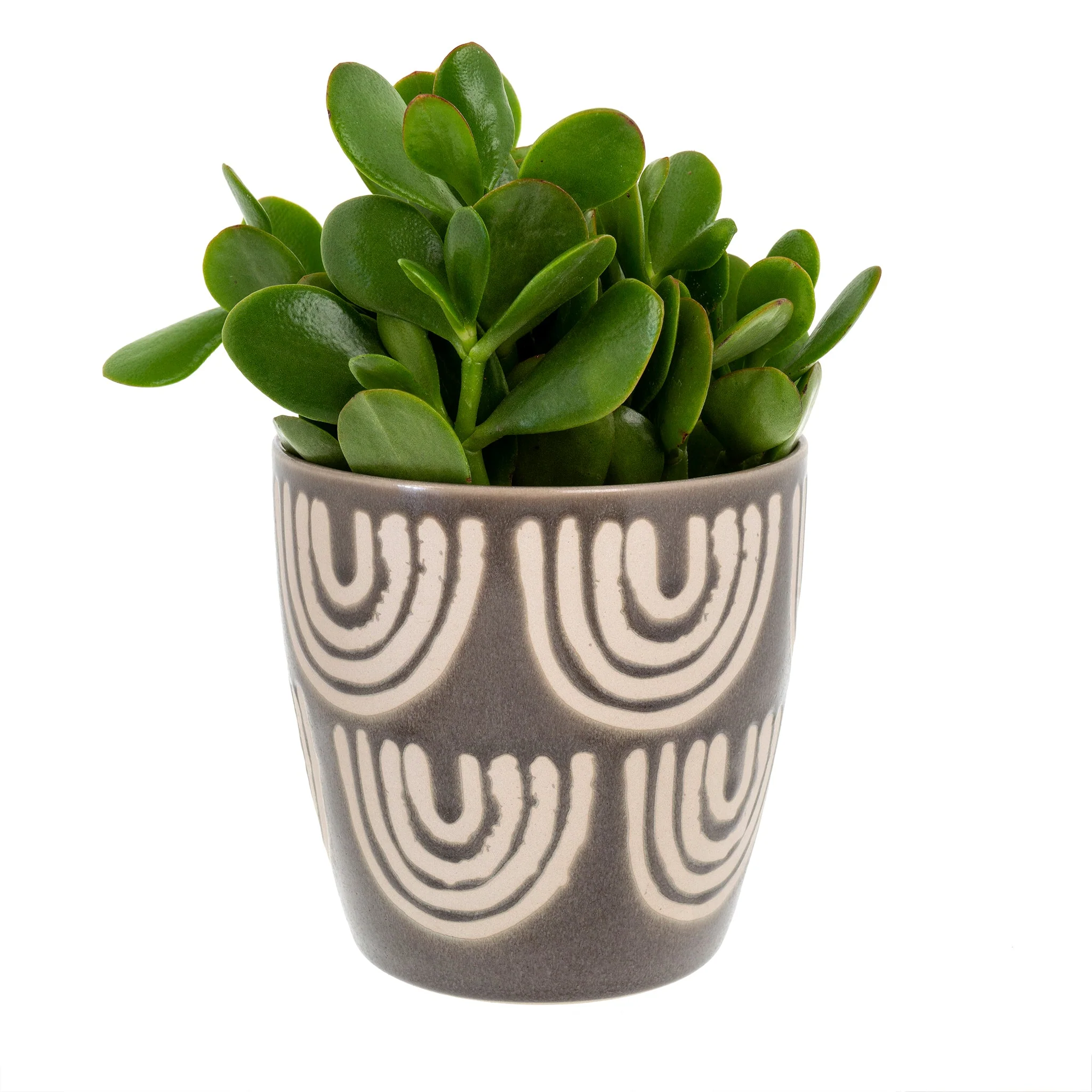 Arches Pot - Image 1