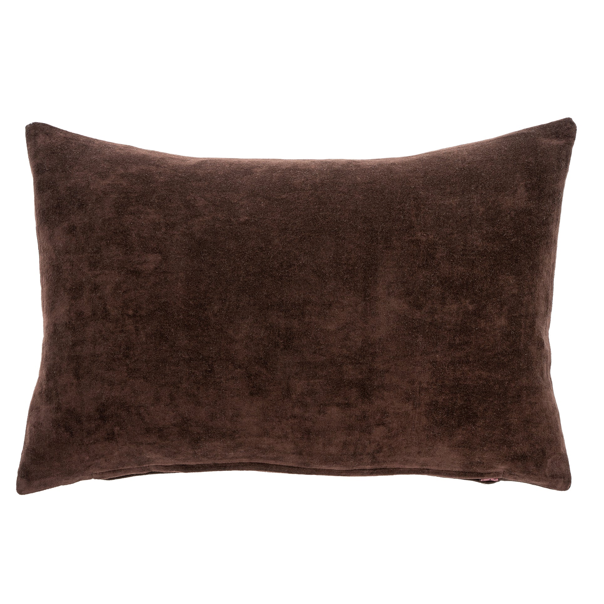 Vera Velvet Pillow - Image 2