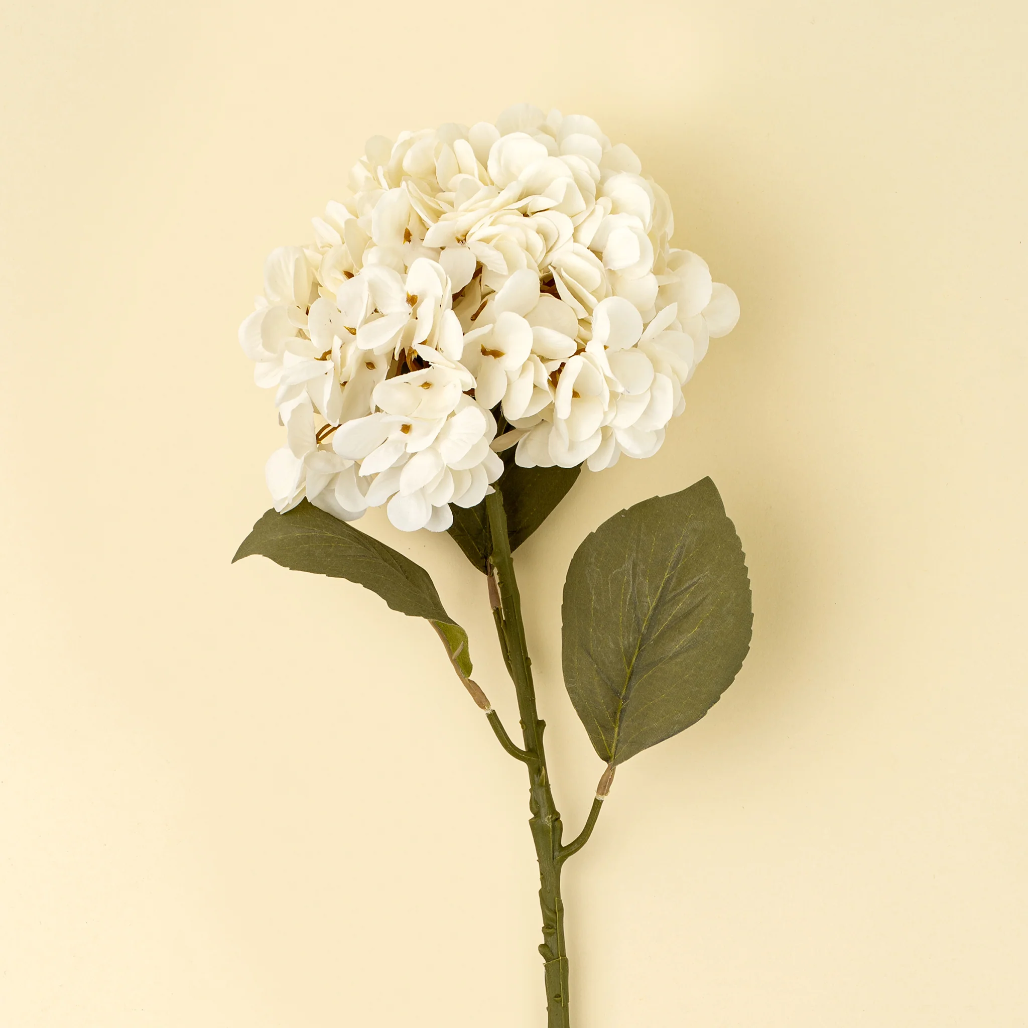 Hydrangea Floral Stem