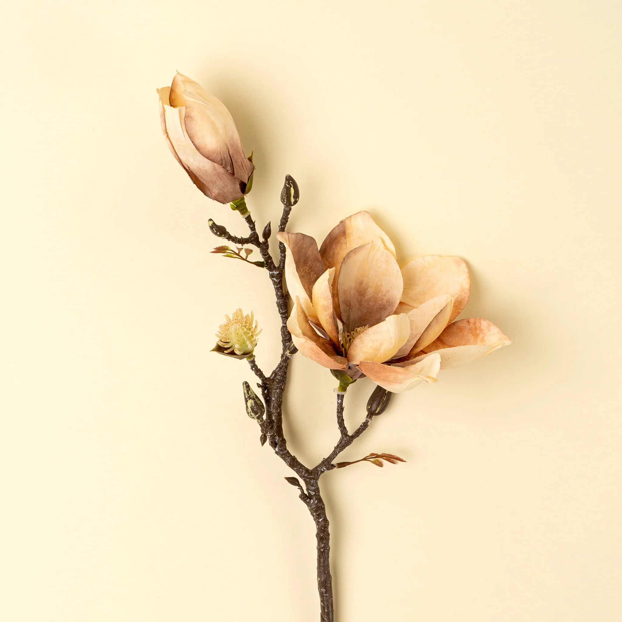 Magnolia Branch - Image 2