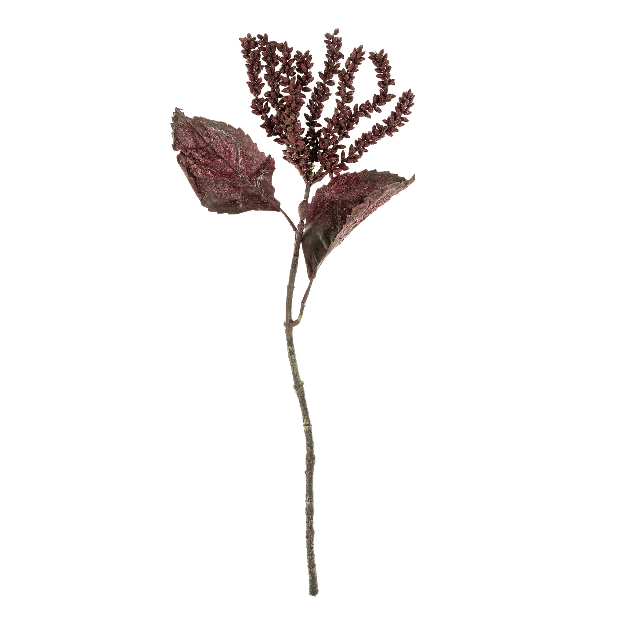 Dripping Seed Stem - Image 3