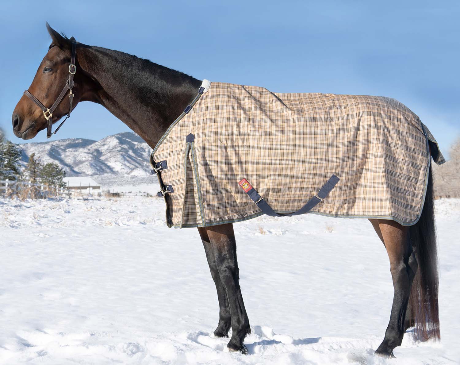 5/A Baker Heavy Turnout Blanket for Horses