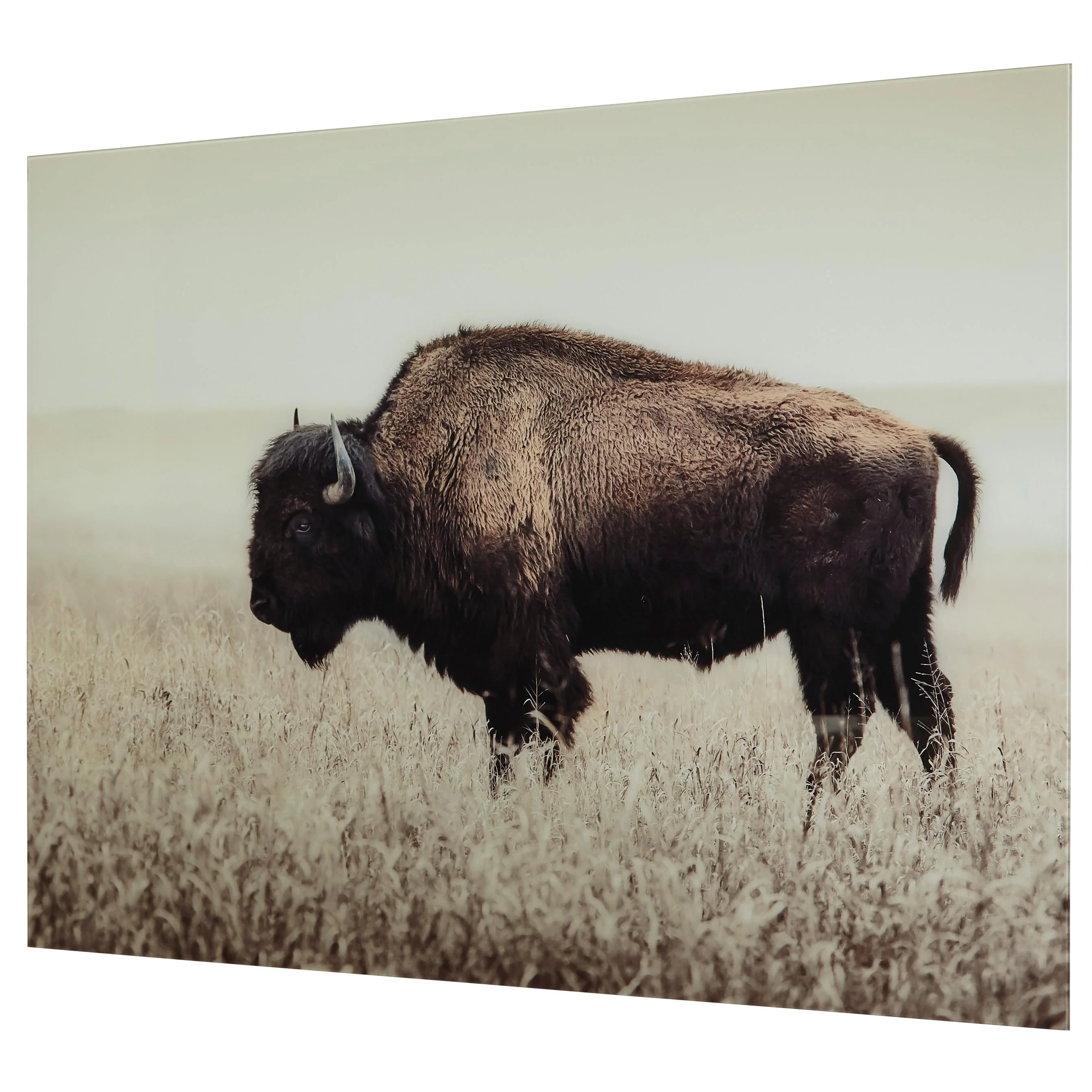 Signature Design by Ashley Brutus A8000289 Wall Art - Image 1
