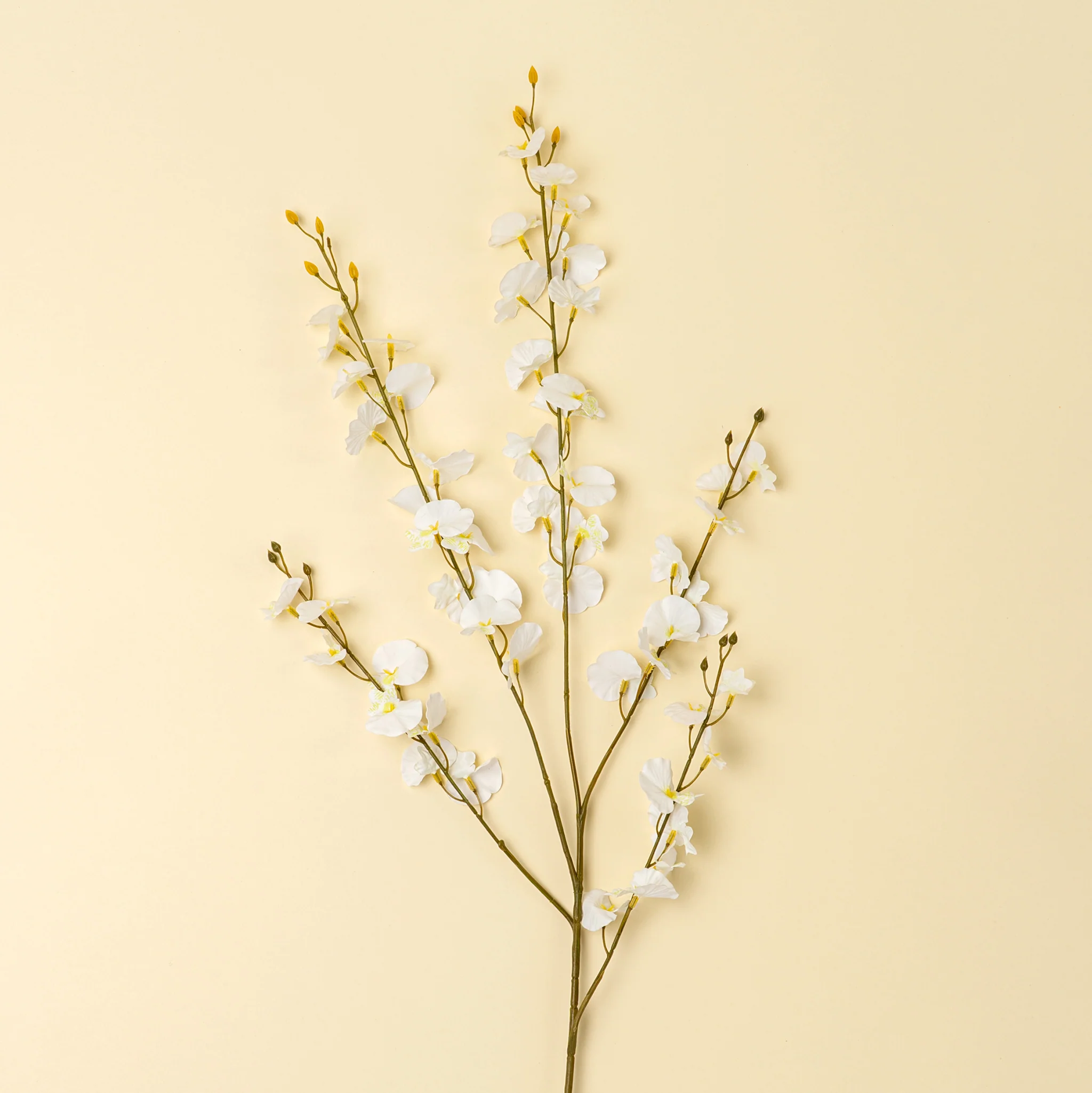 White Orchid Spray