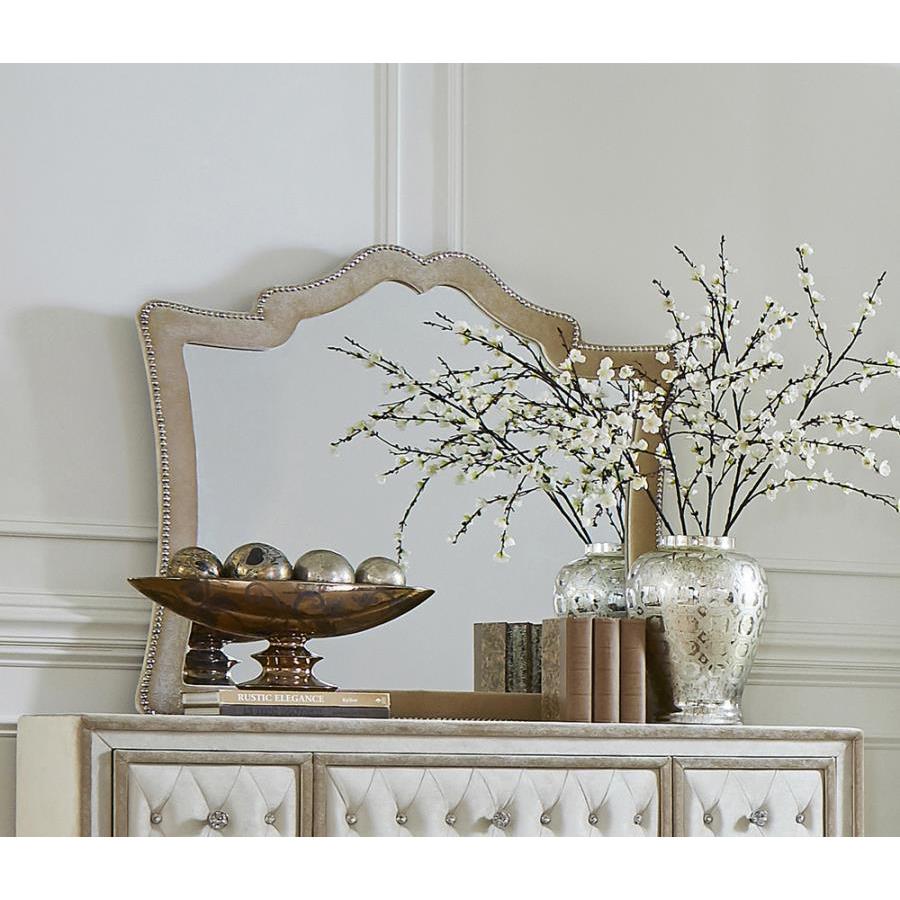 Coaster Furniture Antonella 223524 Upholstered Dresser Mirror - Camel - Image 1