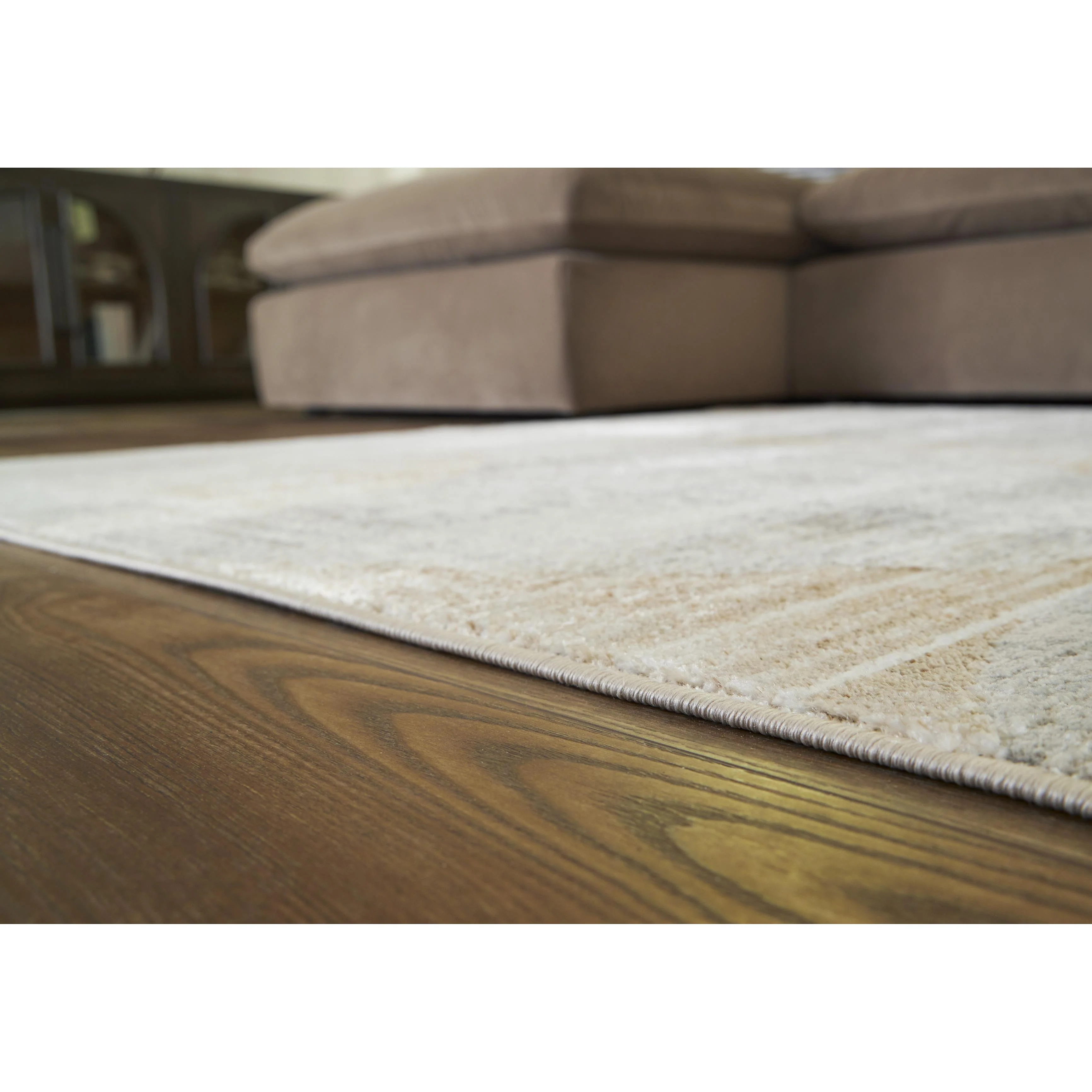 Signature Design by Ashley Truward R406472 Medium Rug - Image 2