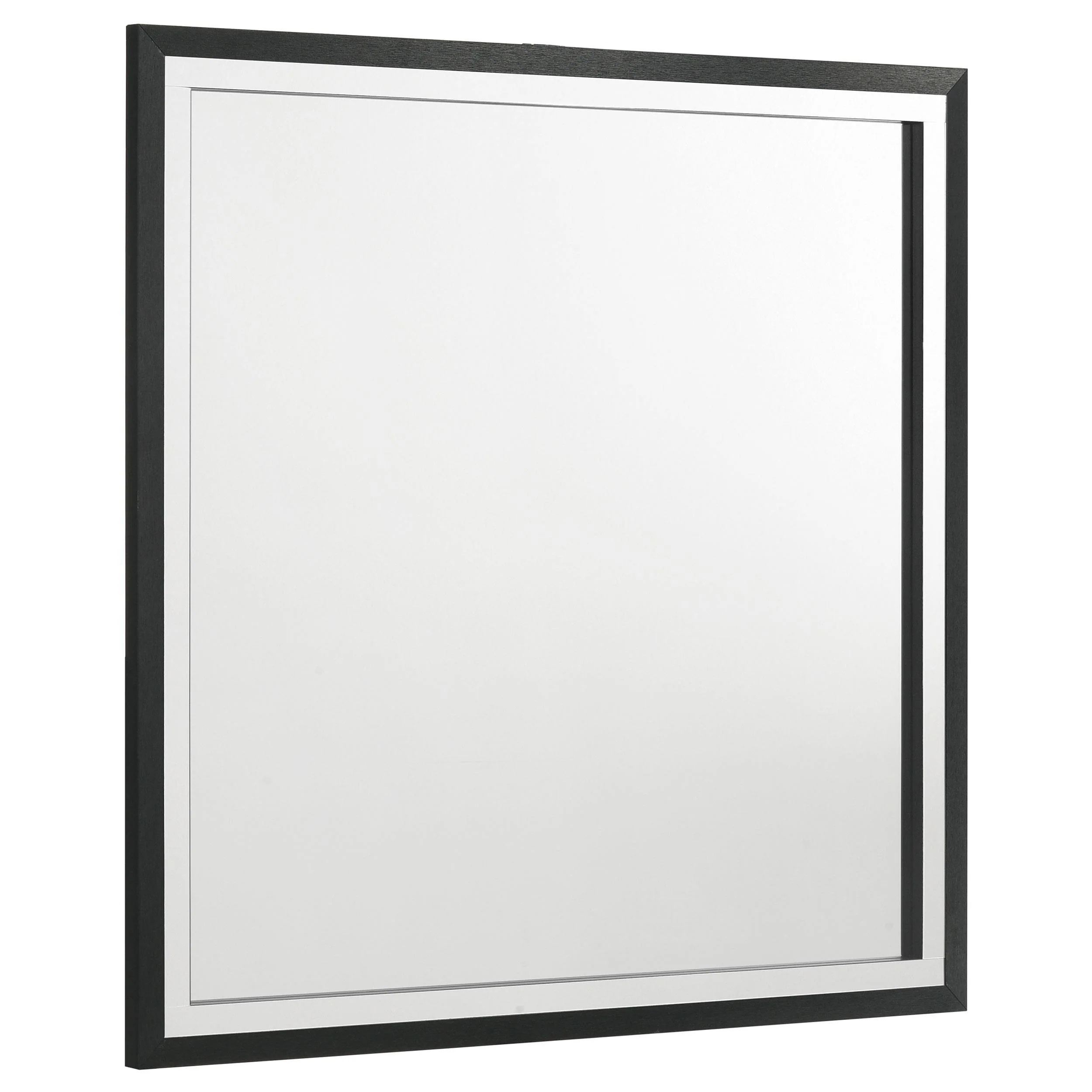 Coaster Furniture Lucia 224994 Dresser Mirror – Black