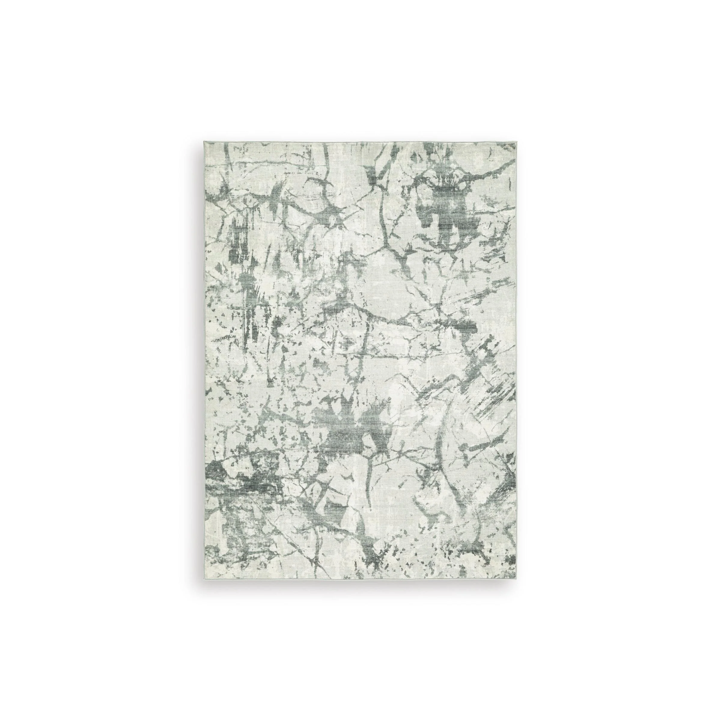 Signature Design by Ashley Tobinbury R407422 Washable Medium Rug - Image 1