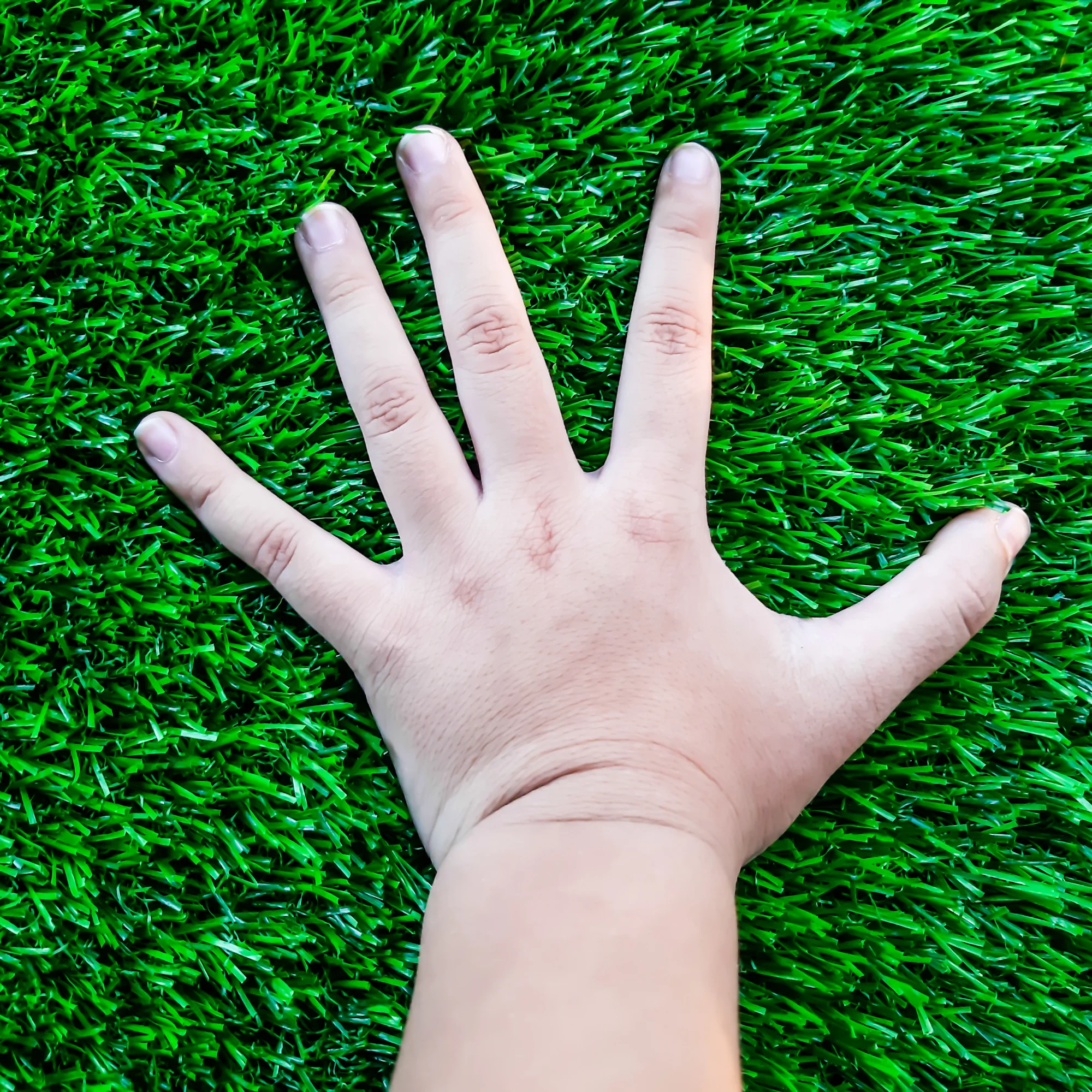 Artificial Turf