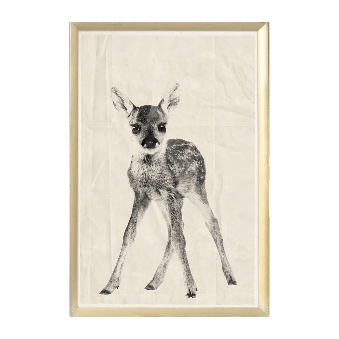 Baby Fawn