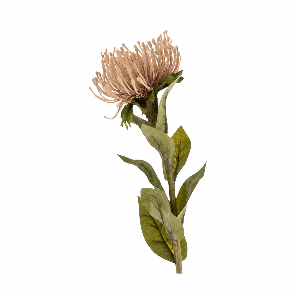 Pin Cushion Floral Stem - Image 2