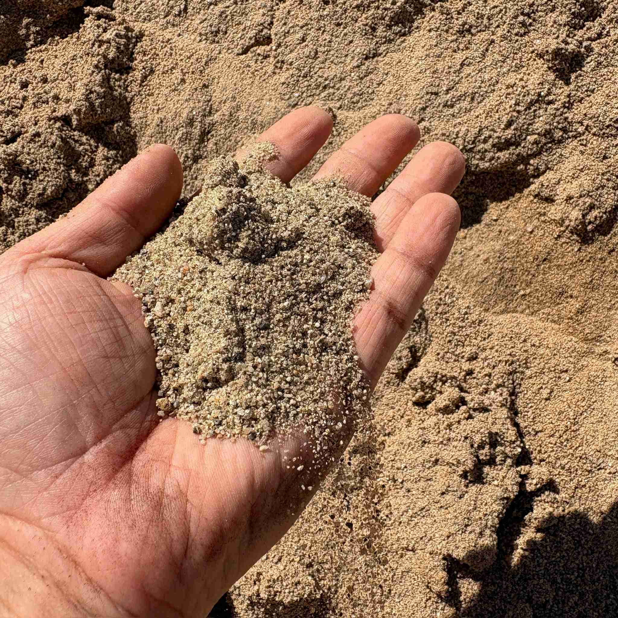 Coarse Sand - Image 1