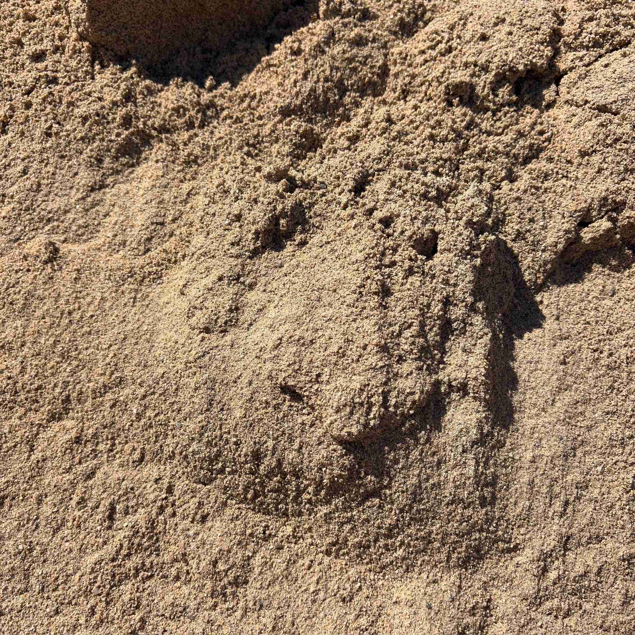 Coarse Sand - Image 2