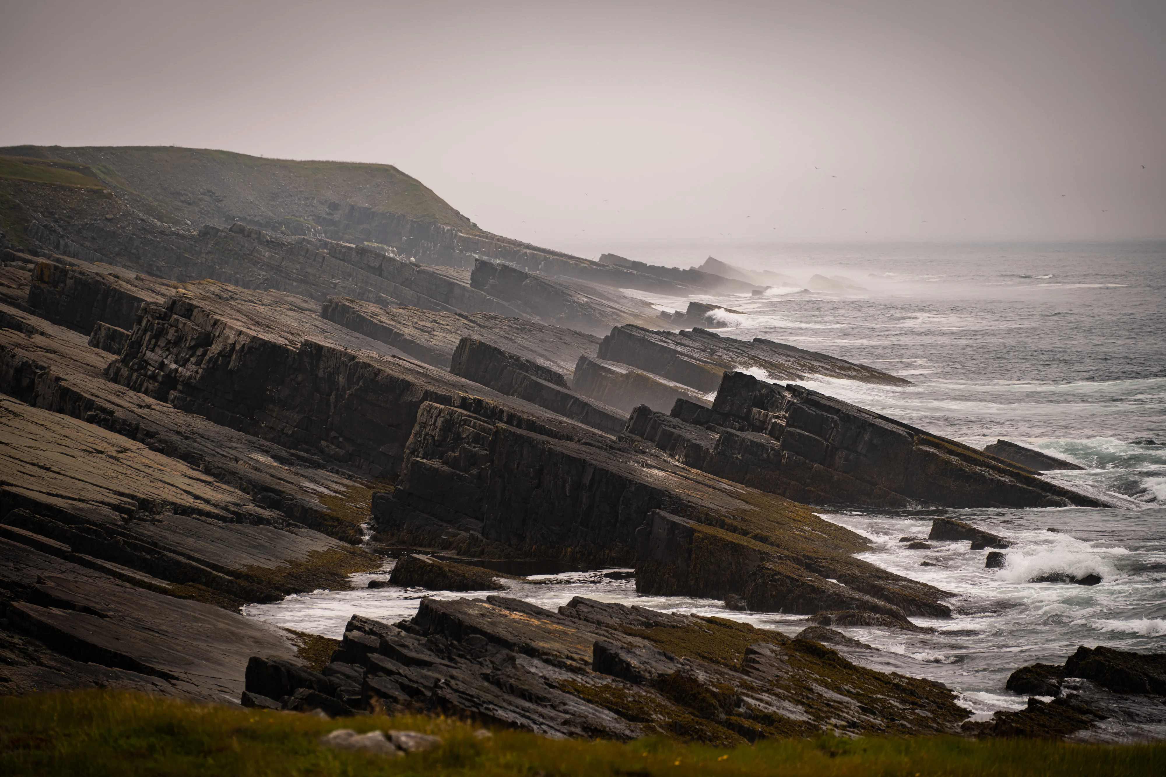 Whispers of Mistaken Point - Image 2