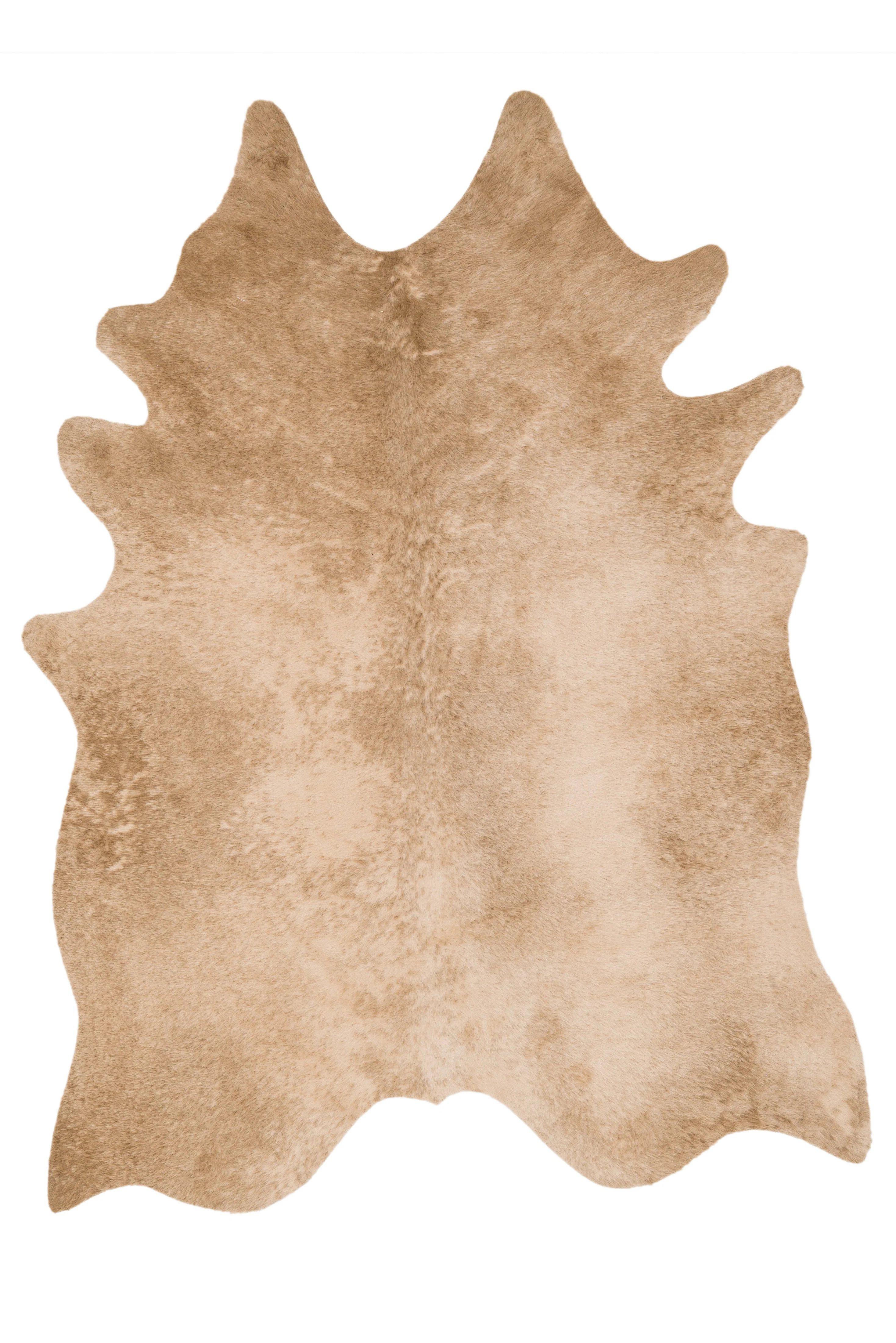 Loloi II | Grand Canyon Collection | Tan | GC-09 - Image 1