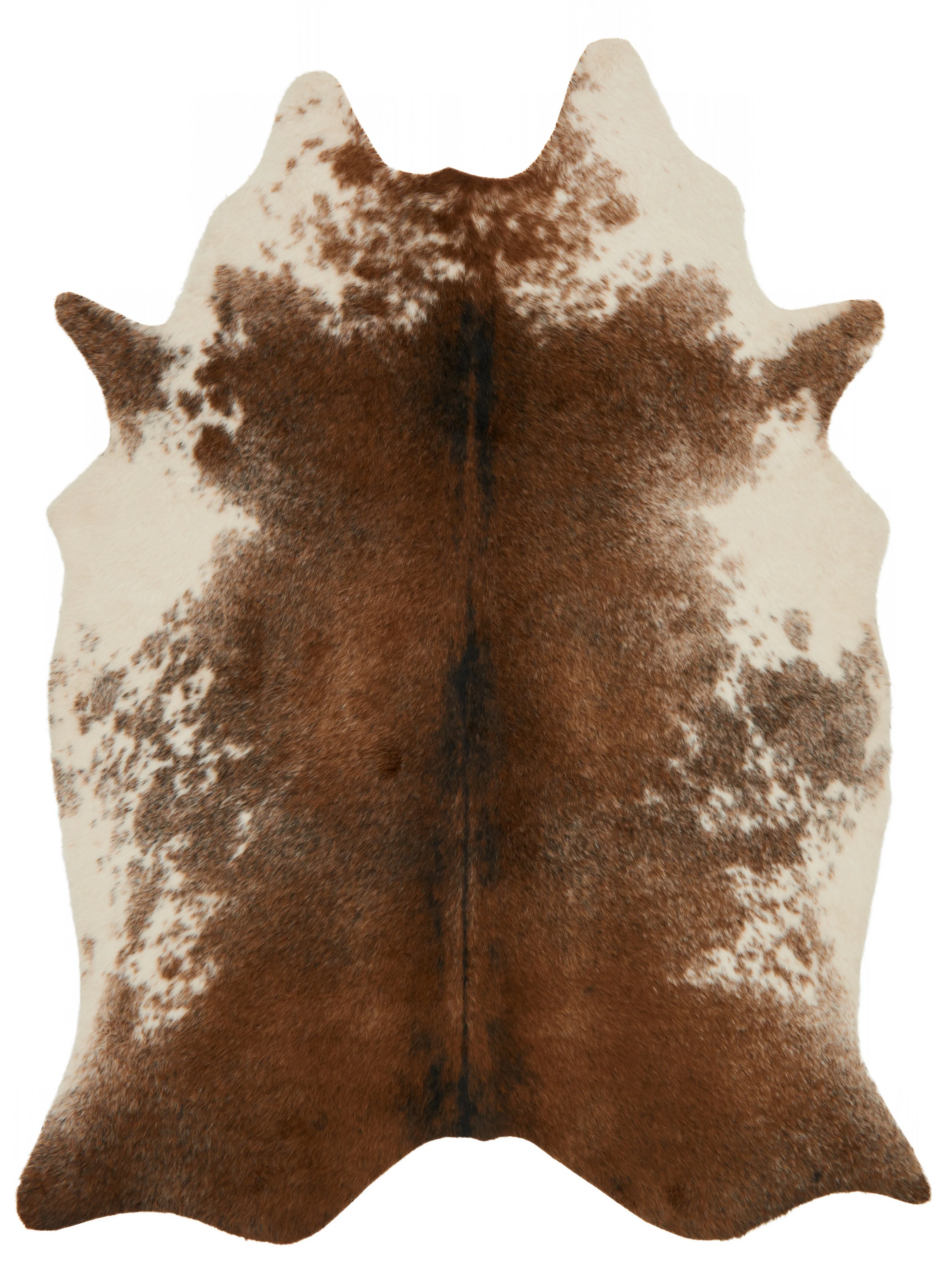 Loloi II | Grand Canyon Collection | Coffee / Ivory | GC-14 - Image 1