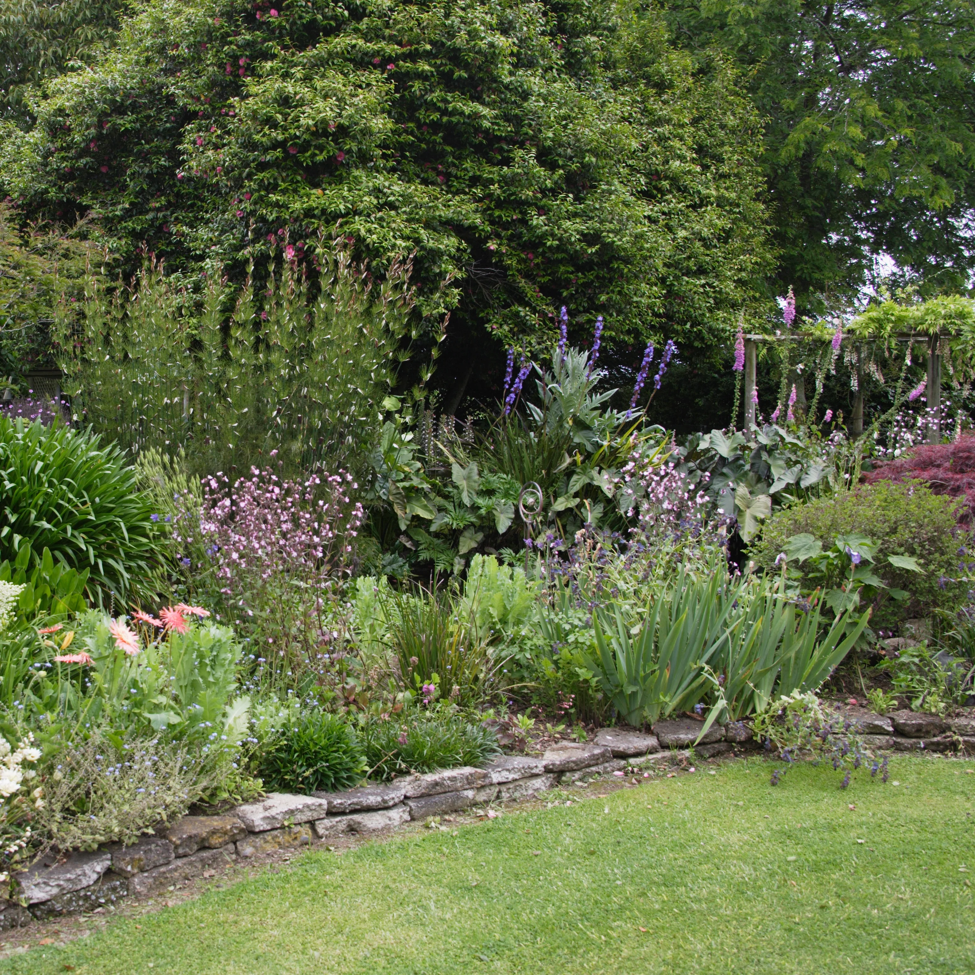 Garden Design Service