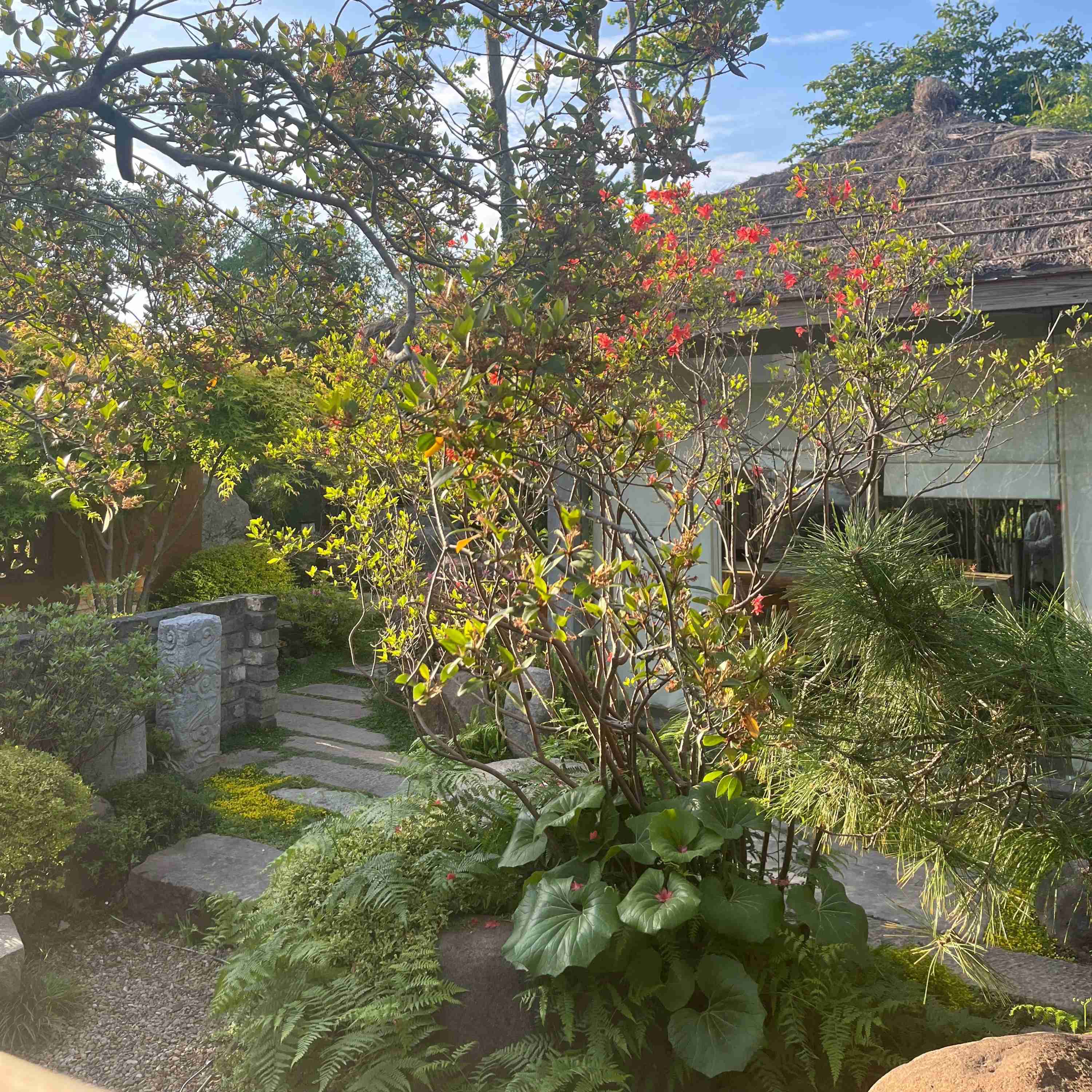 Garden Design Service - Image 3