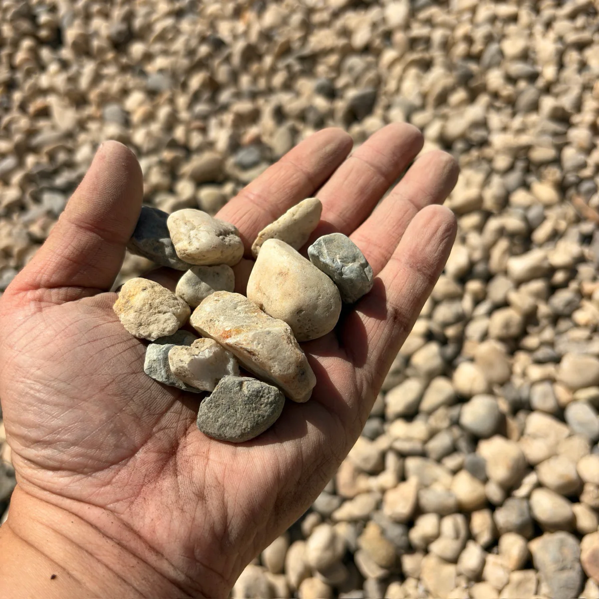 Drain Rock - Image 2
