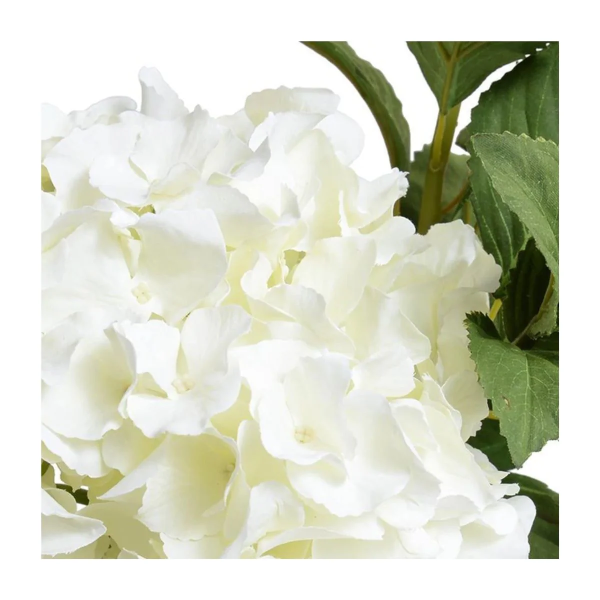 Hydrangea Cutting in Glass - Image 3