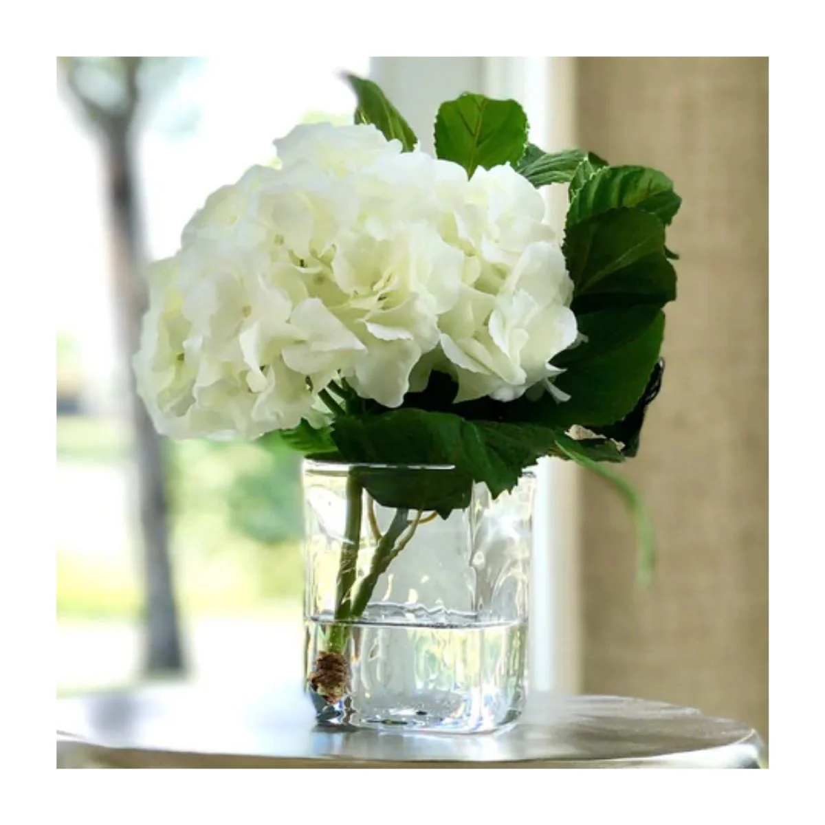 Hydrangea Cutting in Glass - Image 2