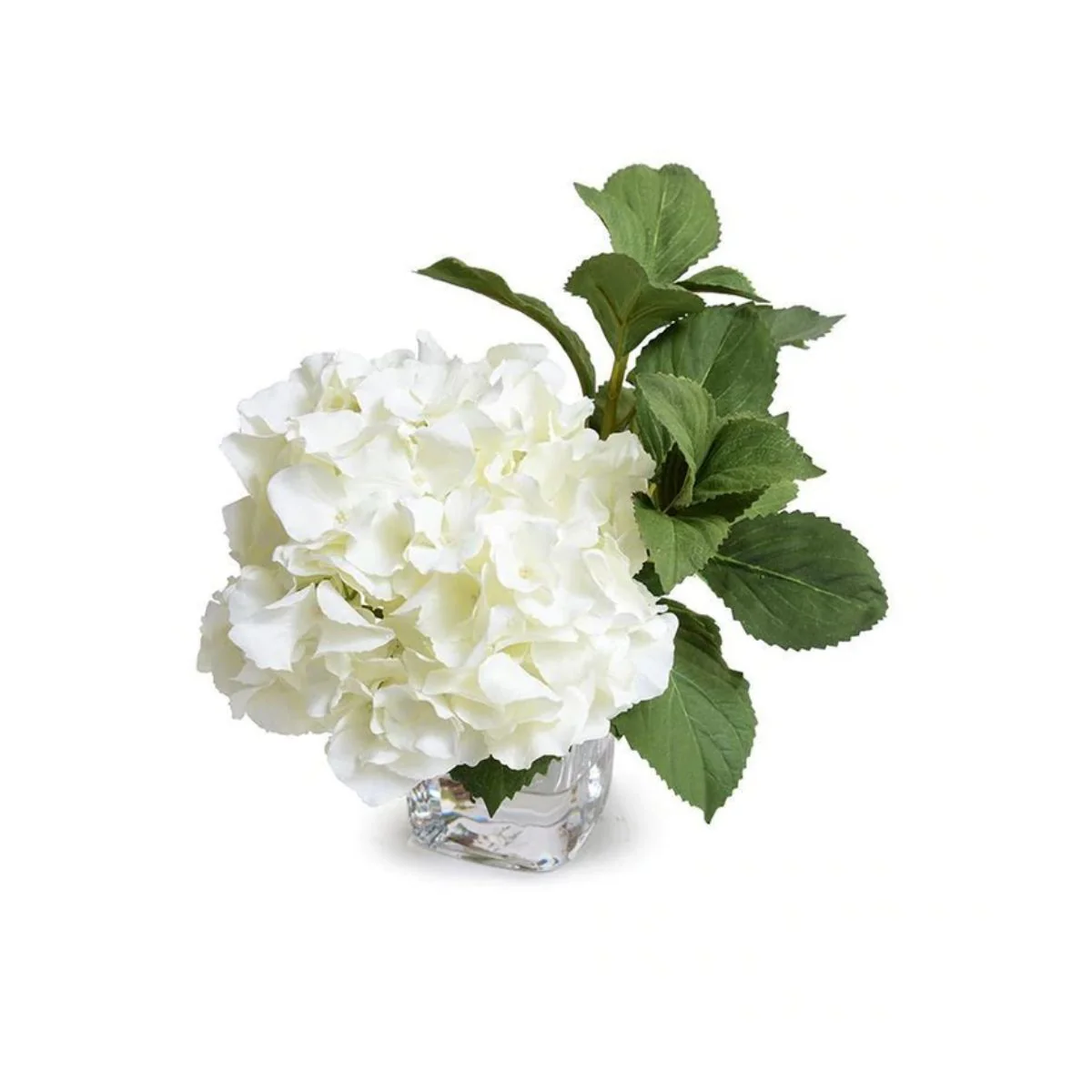 Hydrangea Cutting in Glass - Image 1
