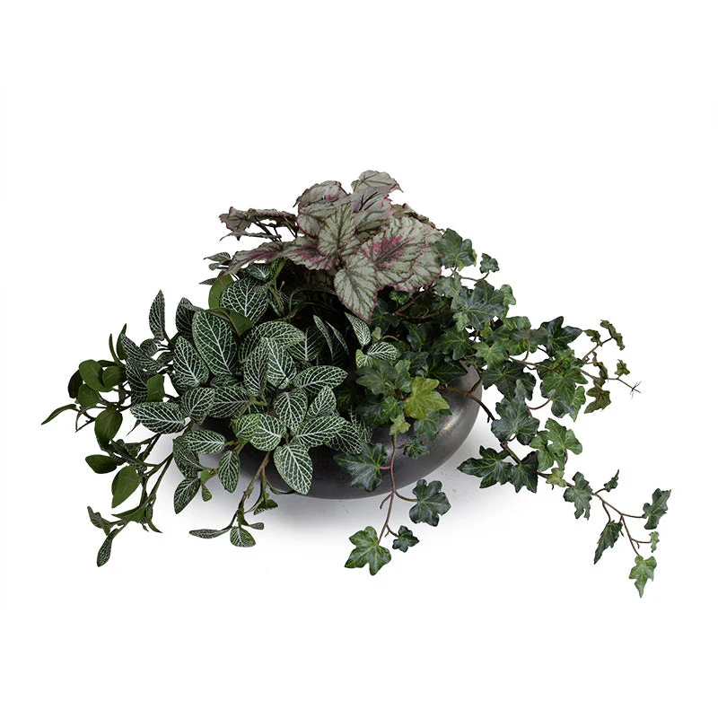 Assorted Greenery in Ceramic Bowl 9″H