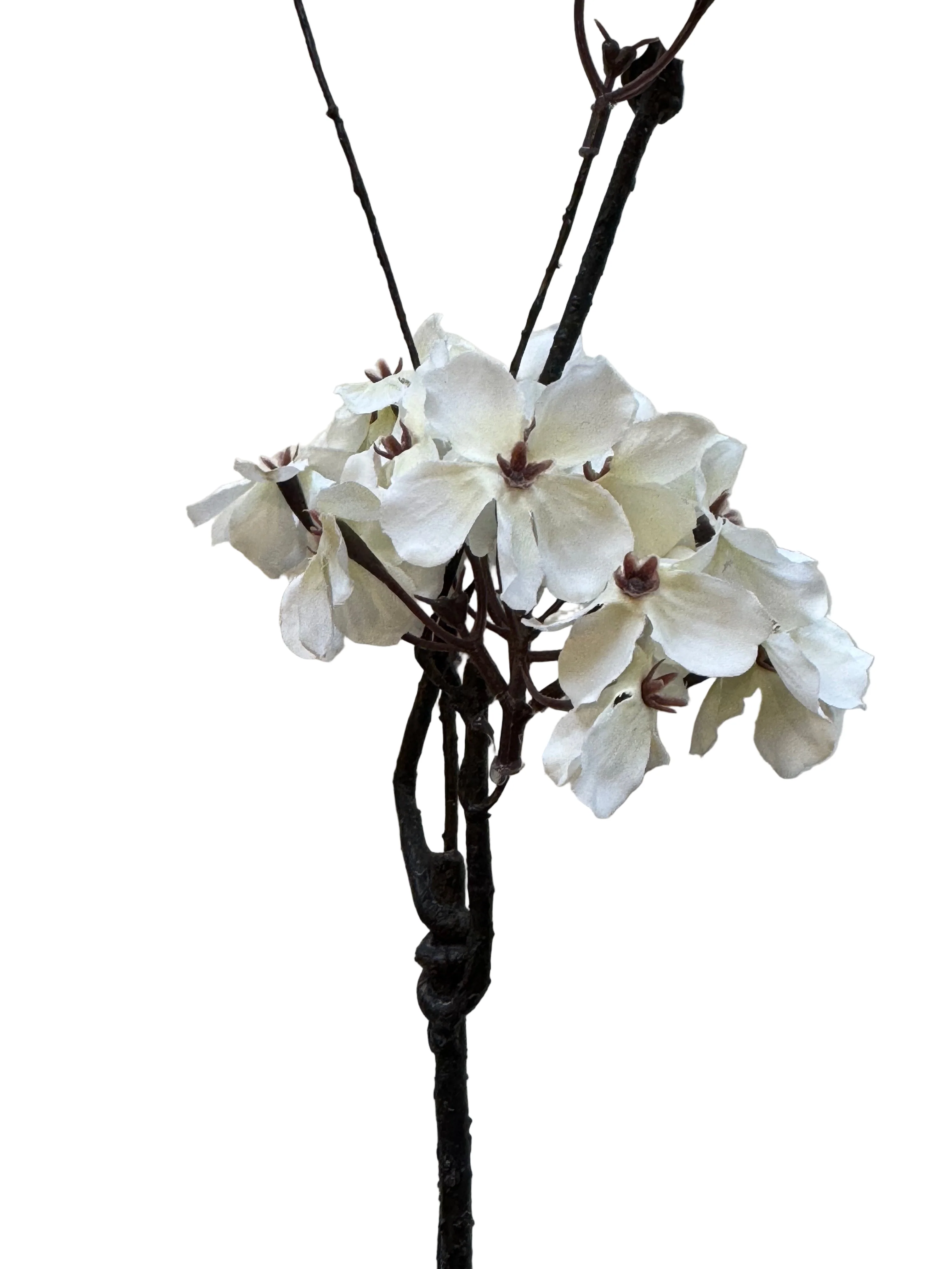 Pear Blossom Branch - Image 2