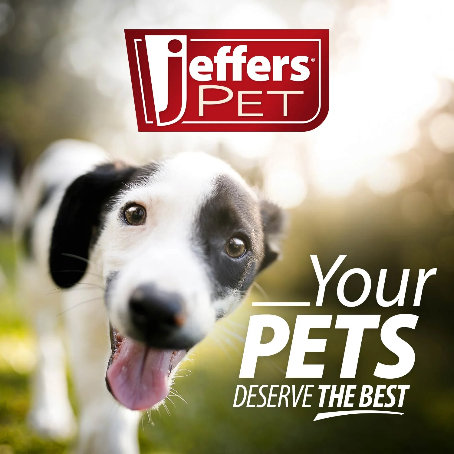 Jeffers Berry Soft Pet Shampoo & Cologne, 2 Piece Kit - Image 2