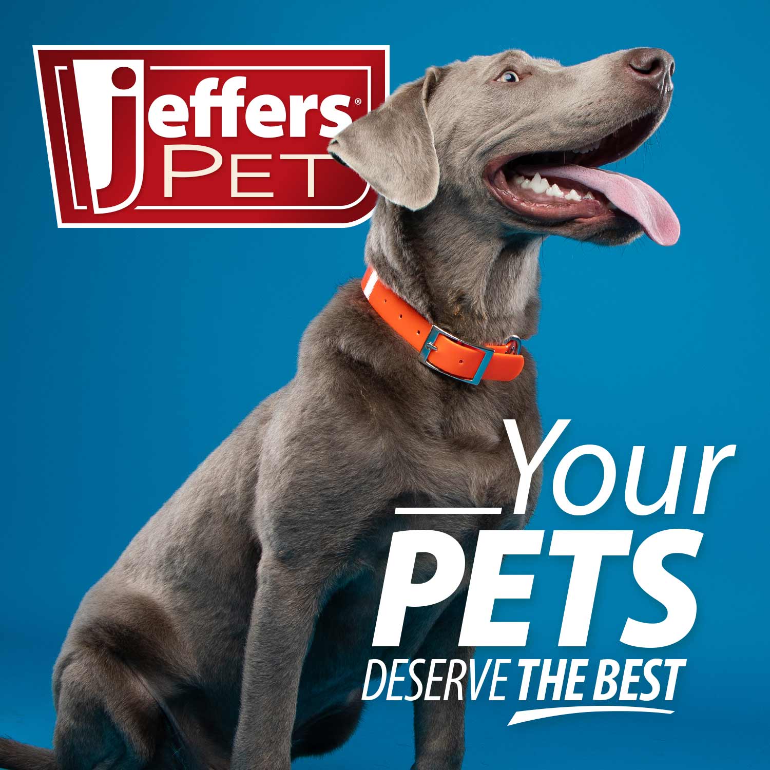 Jeffers Magic Spring Teeth Pet Grooming Comb - Image 3