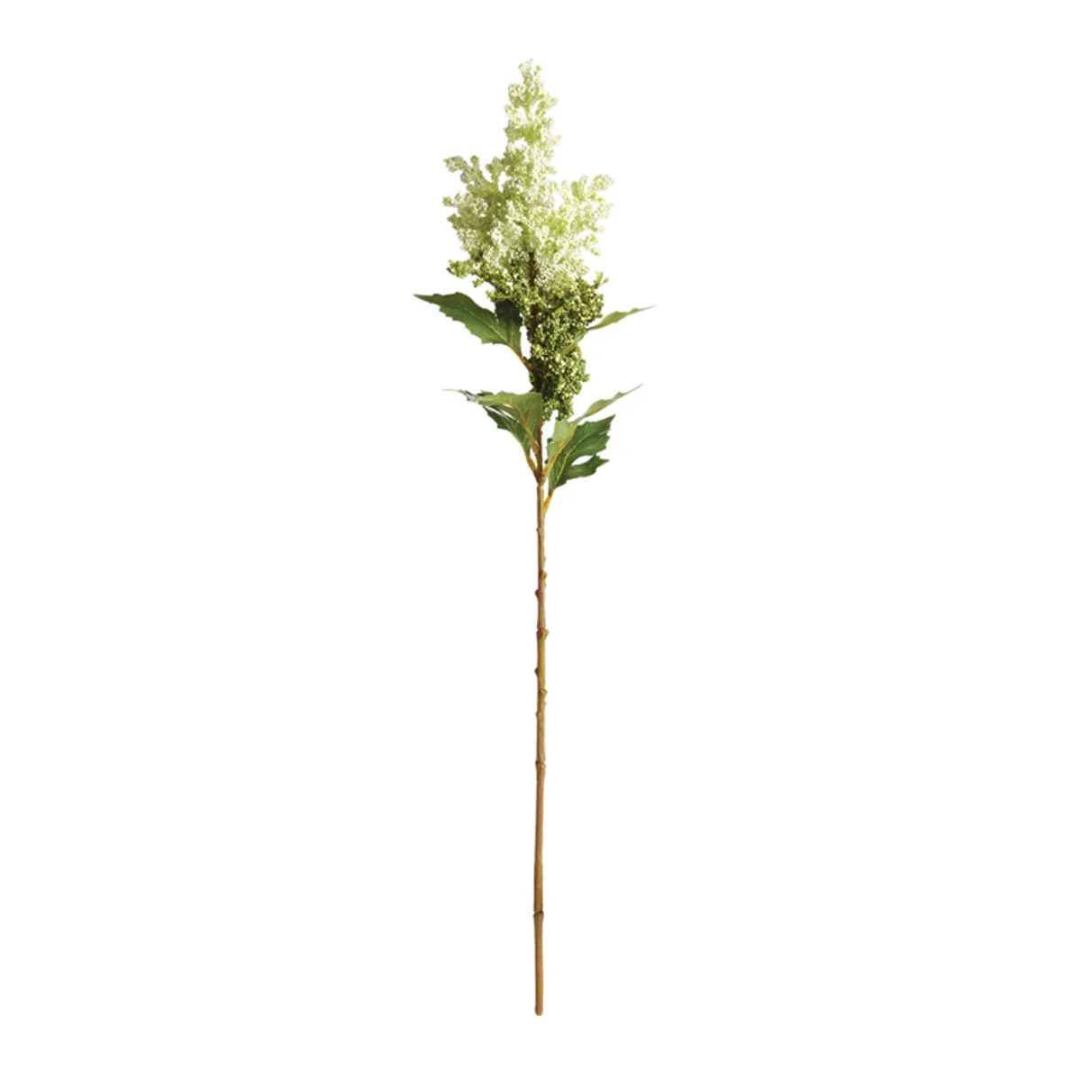 Mini Berries Stem - Image 1