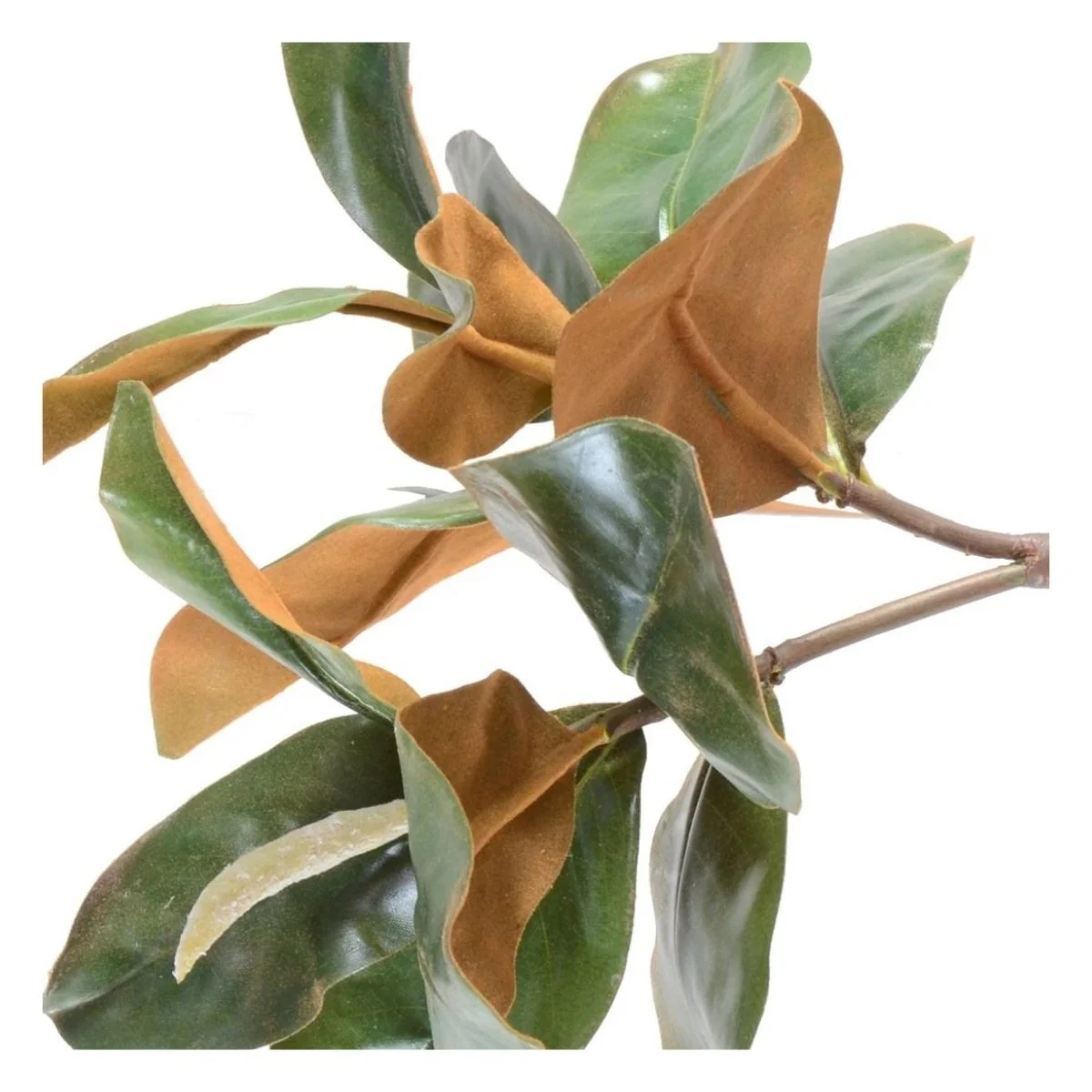 Magnolia Leaf Spray - Image 2
