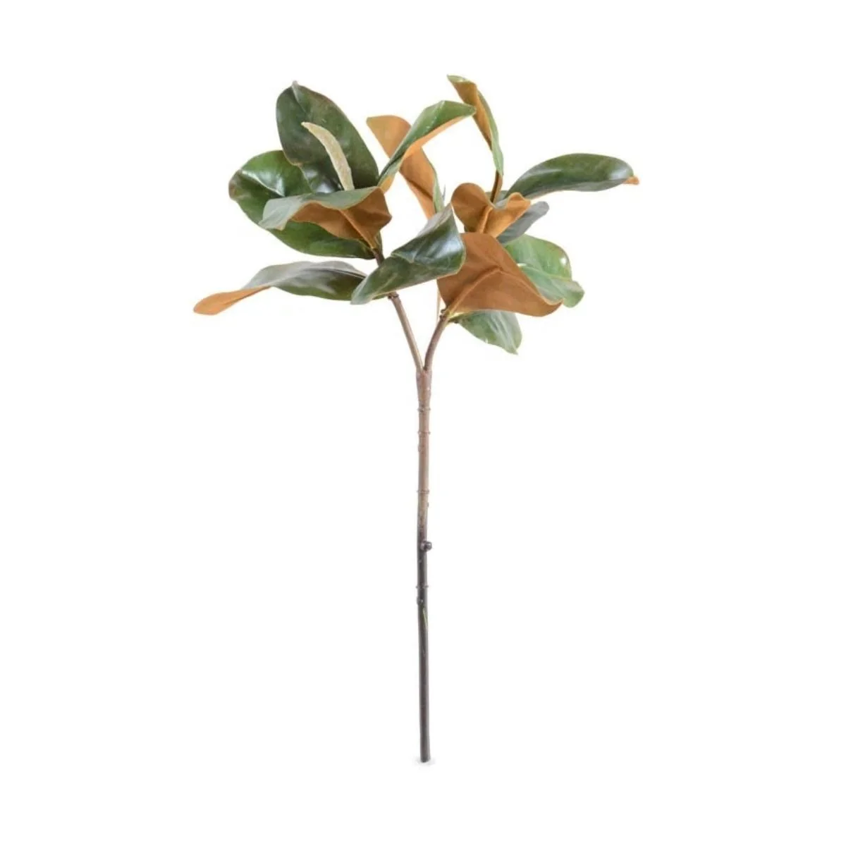 Magnolia Leaf Spray - Image 1