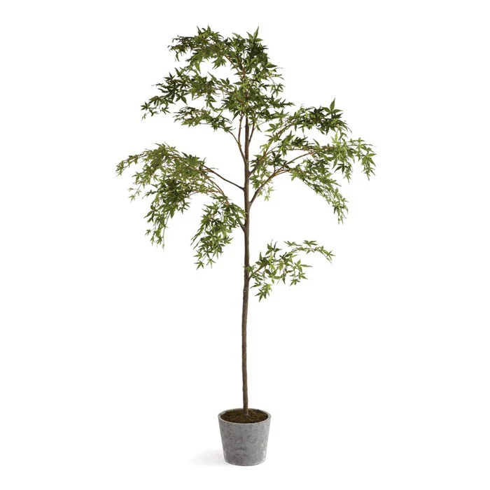 Maple Tree 84" - Image 1