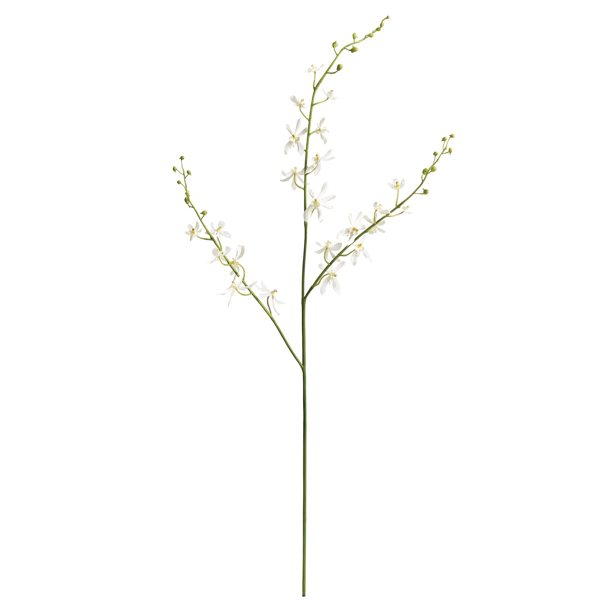 ORCHID STEM 40″