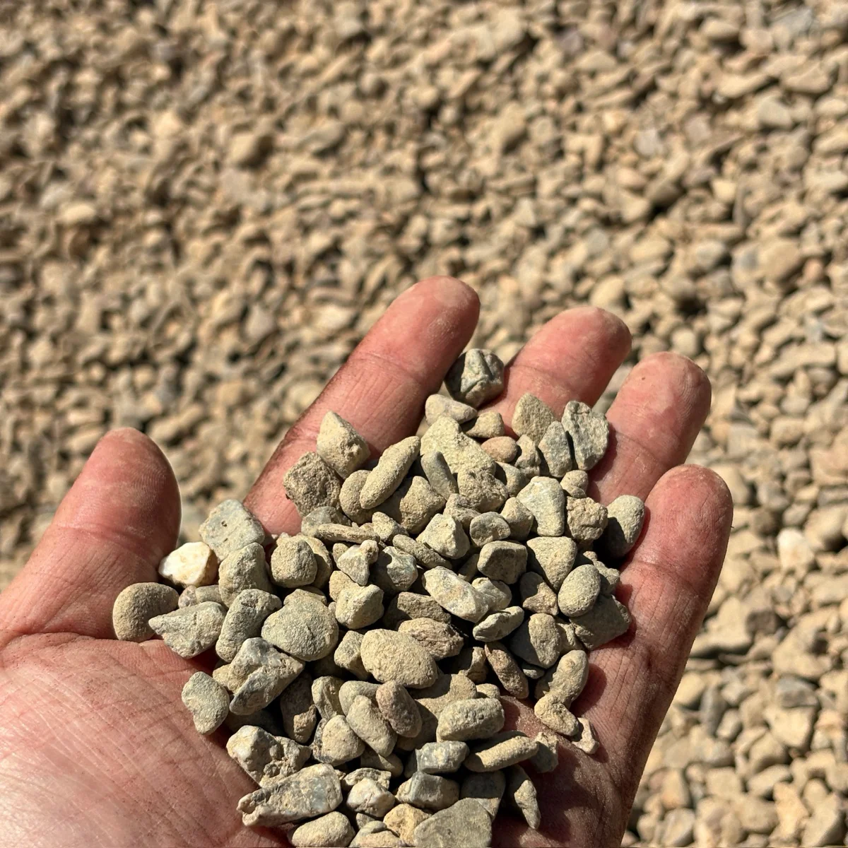 Pea Gravel - Image 3