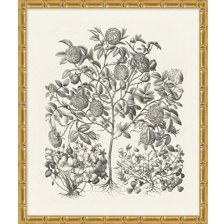 Neutral Balance I - Image 1