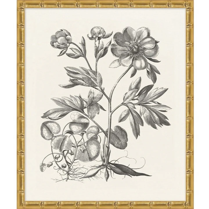 Neutral Balance III - Image 1