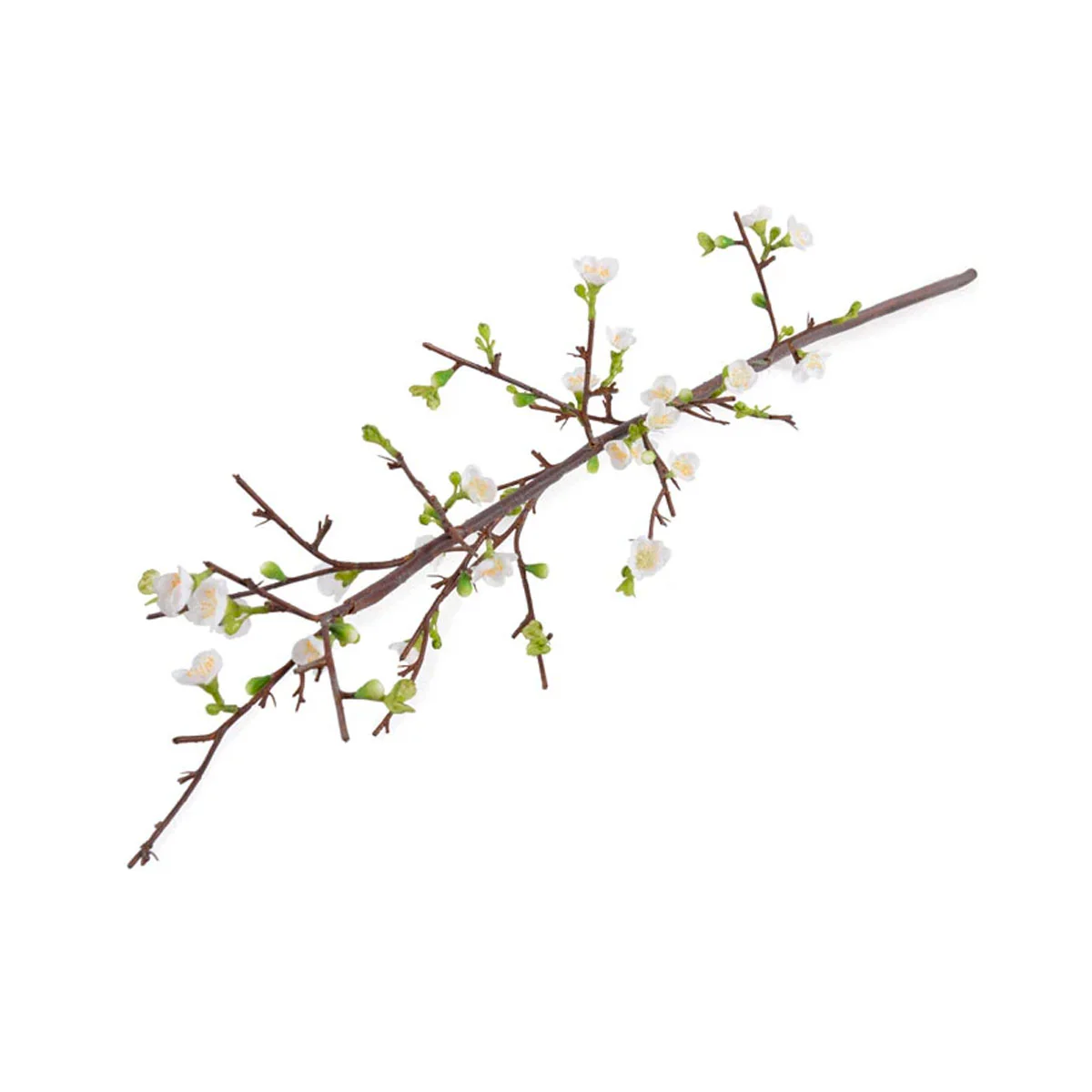Quince Spray - Image 1