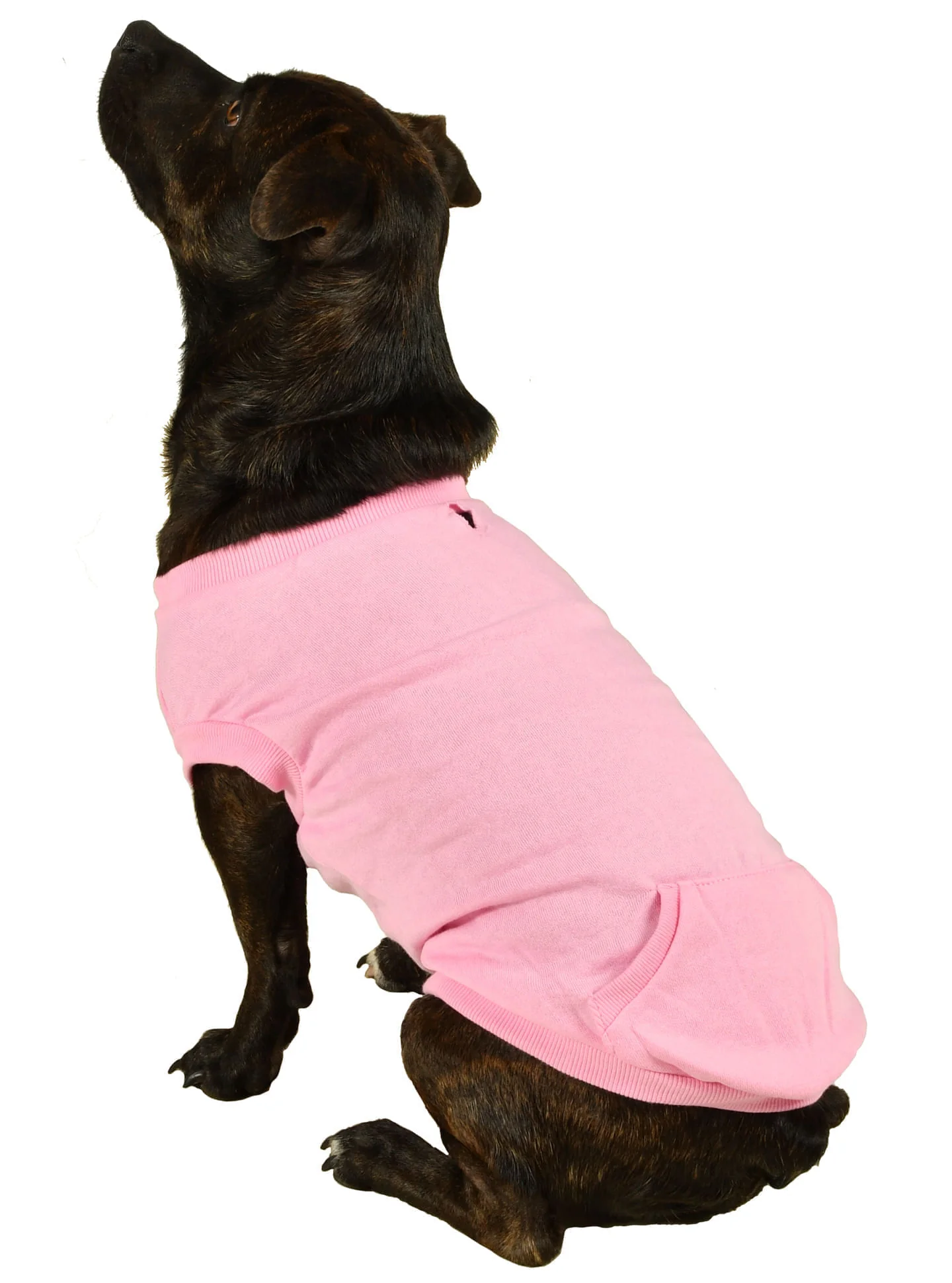 Activewear Sweatshirt for Dogs
