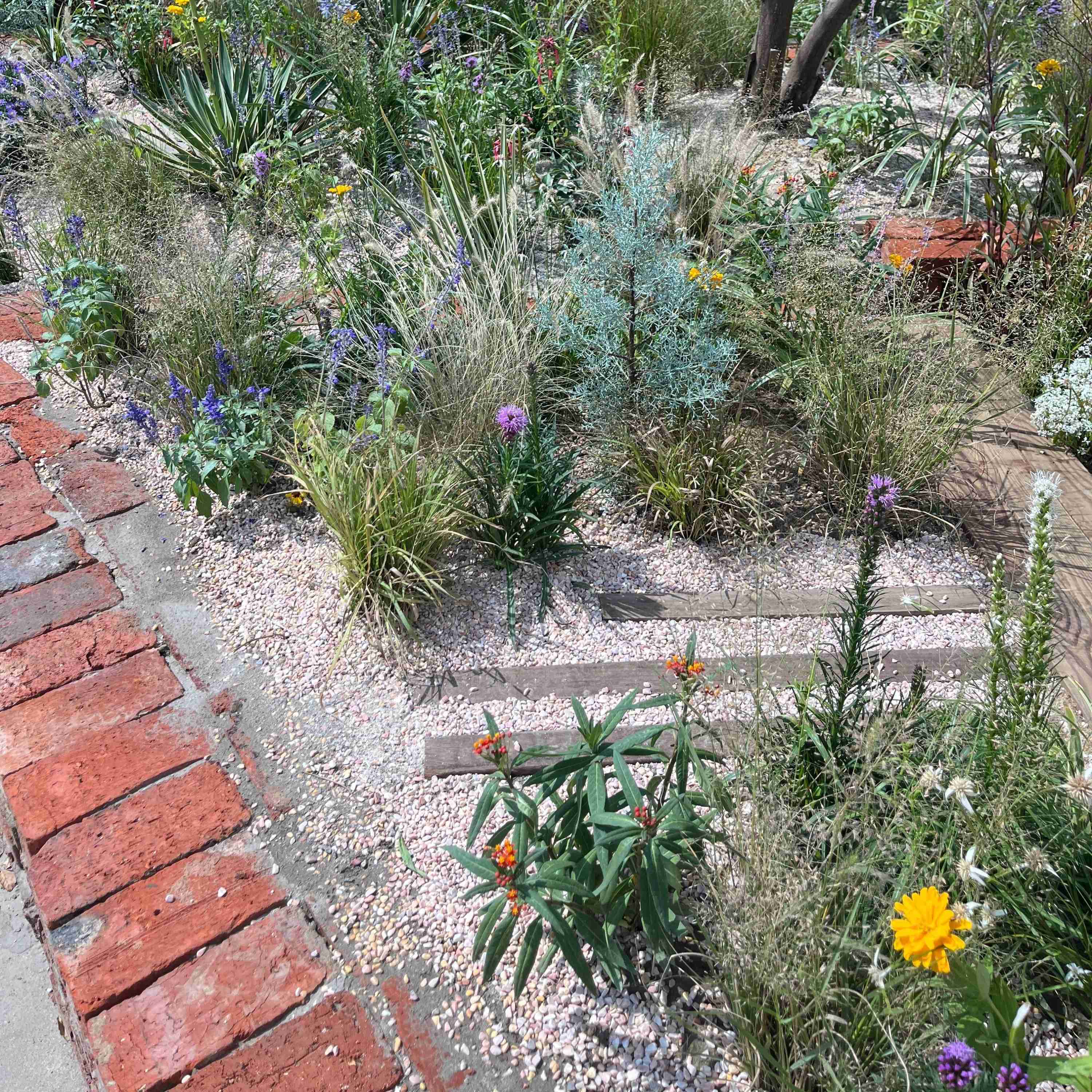 Landscape Brick Pavers – Red - Image 3