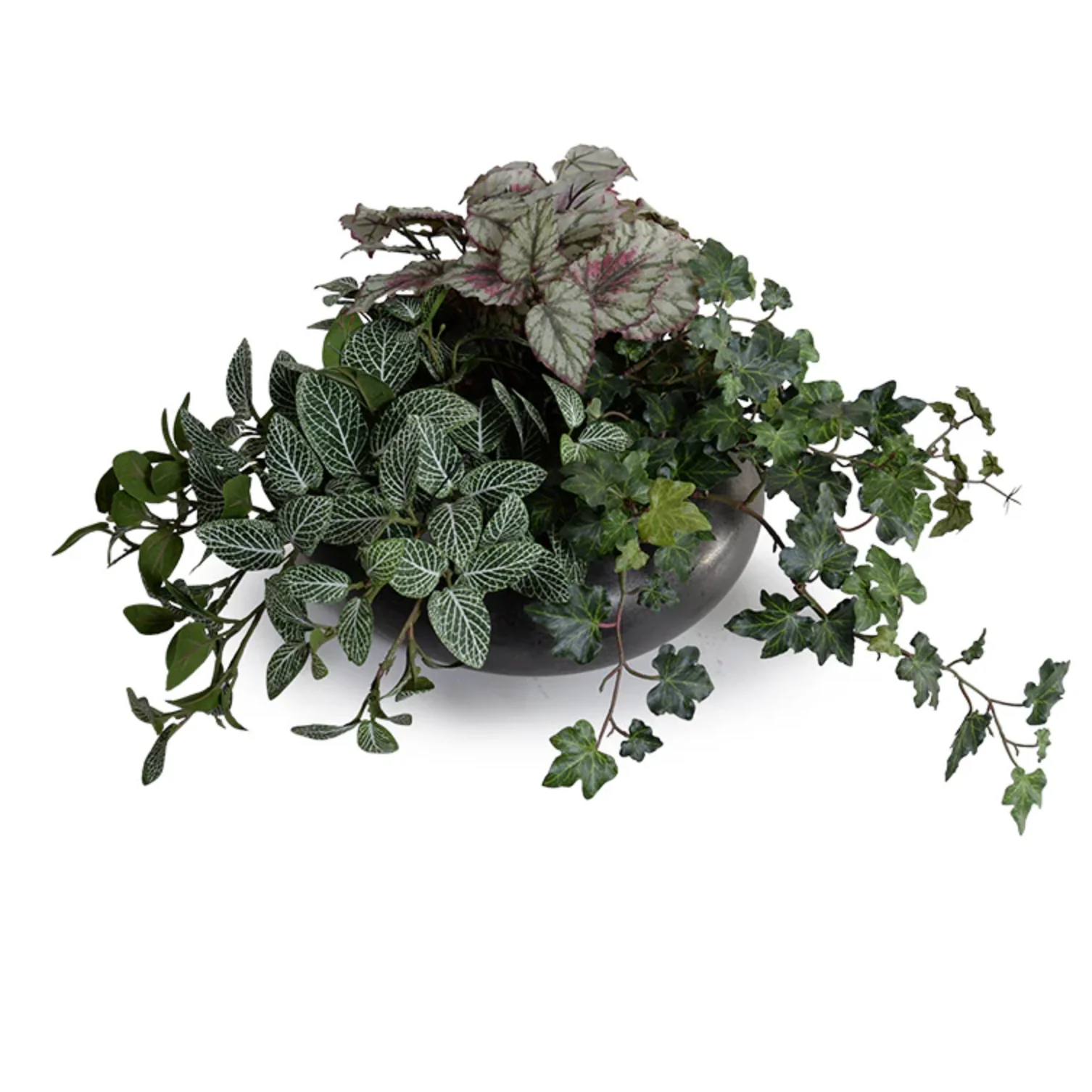 Assorted Greenery in ceramic bowl - Image 1