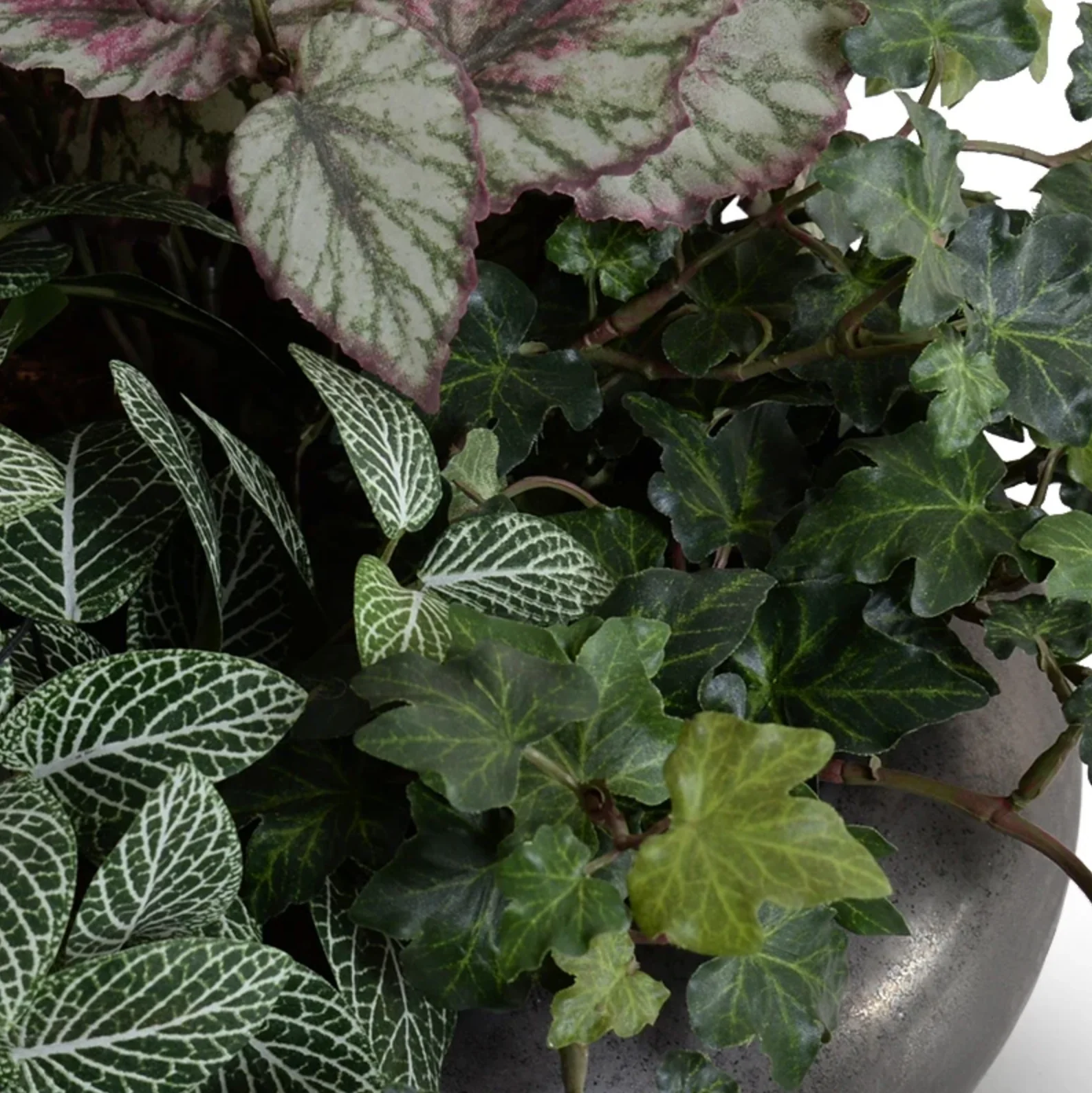 Assorted Greenery in ceramic bowl - Image 2