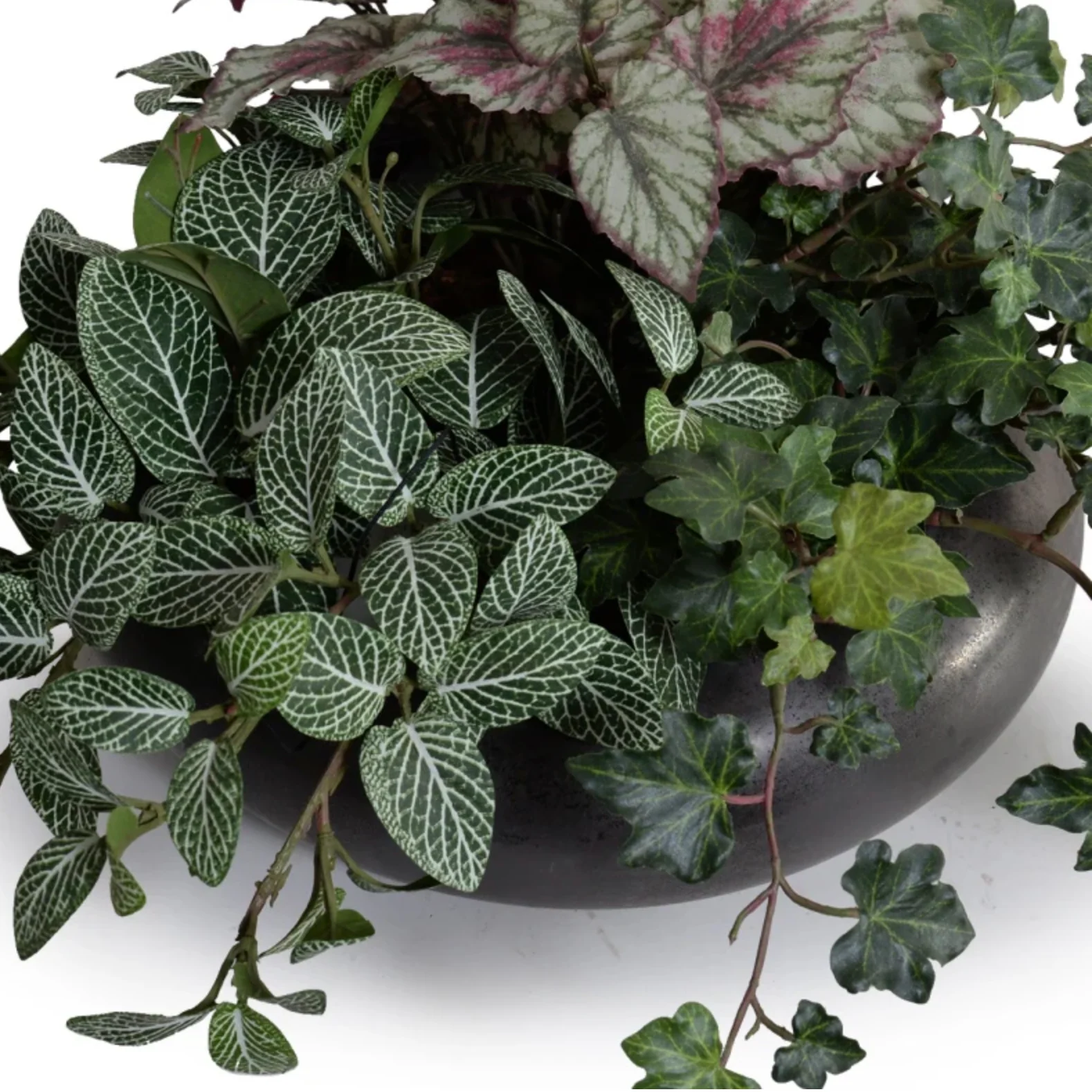 Assorted Greenery in ceramic bowl - Image 3