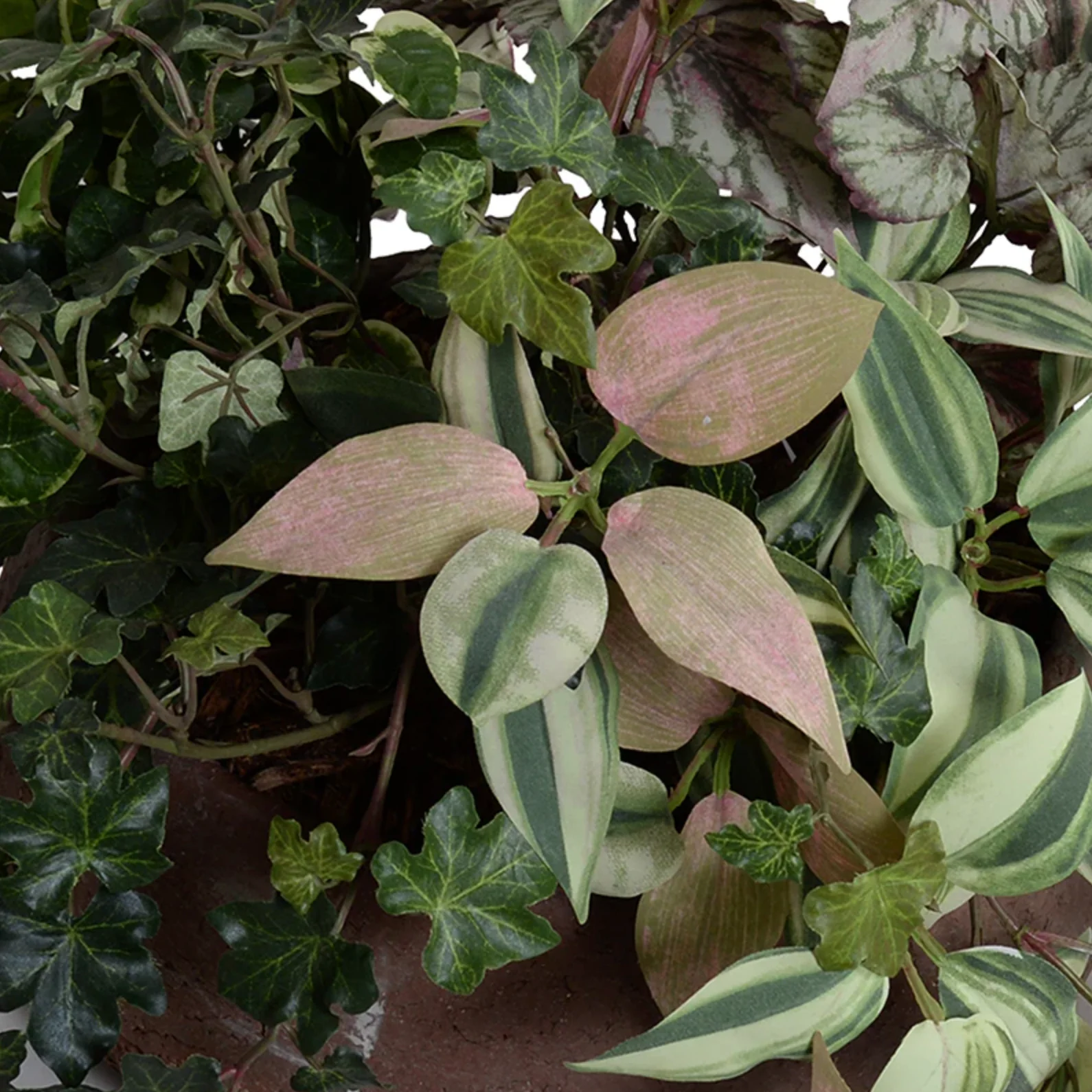 Assorted Greenery in clay bowl - Image 2