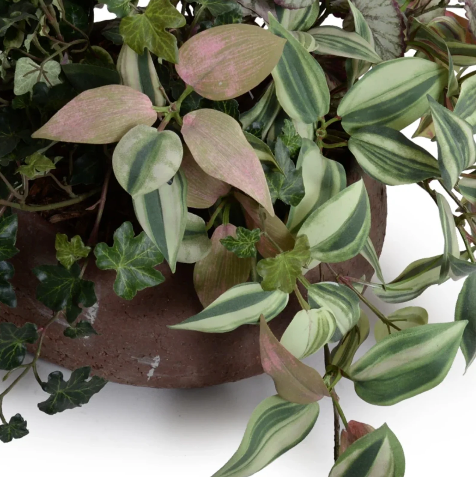 Assorted Greenery in clay bowl - Image 3