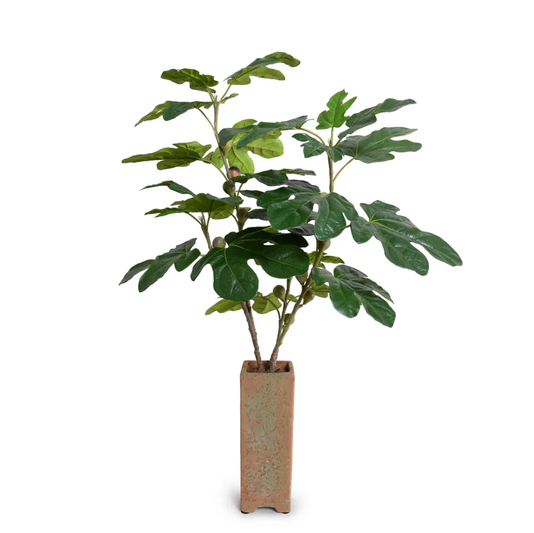 Fig Branches w/ Fruits in Terracotta Vase - Image 1