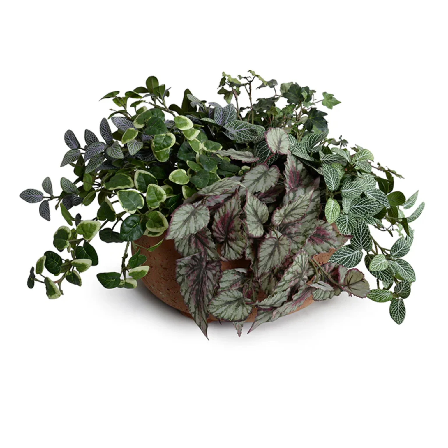Ivy, Pumila, Begonia, Fittonia in clay bowl - Image 1